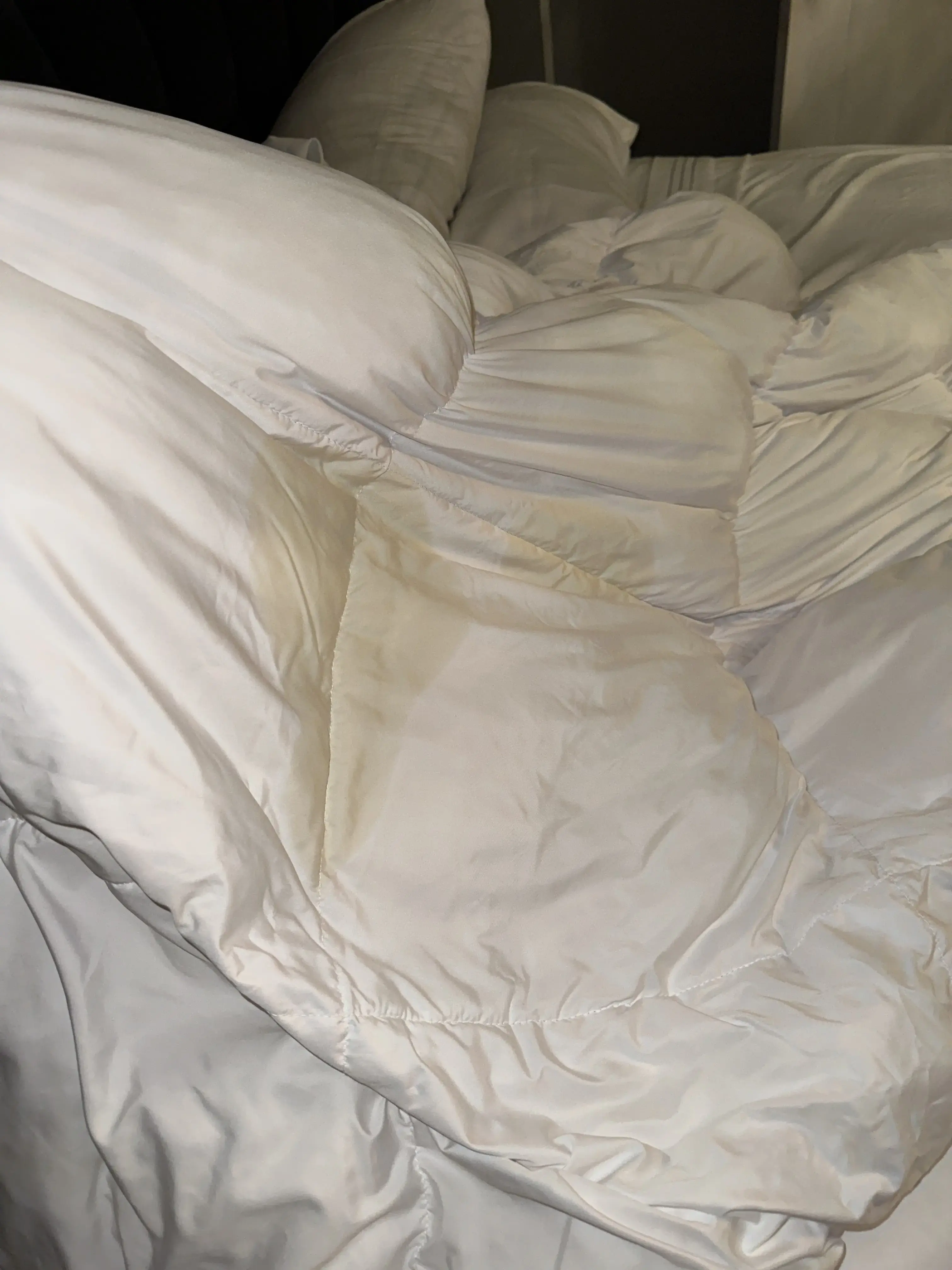 ZIPS Cleaners - Image 17
