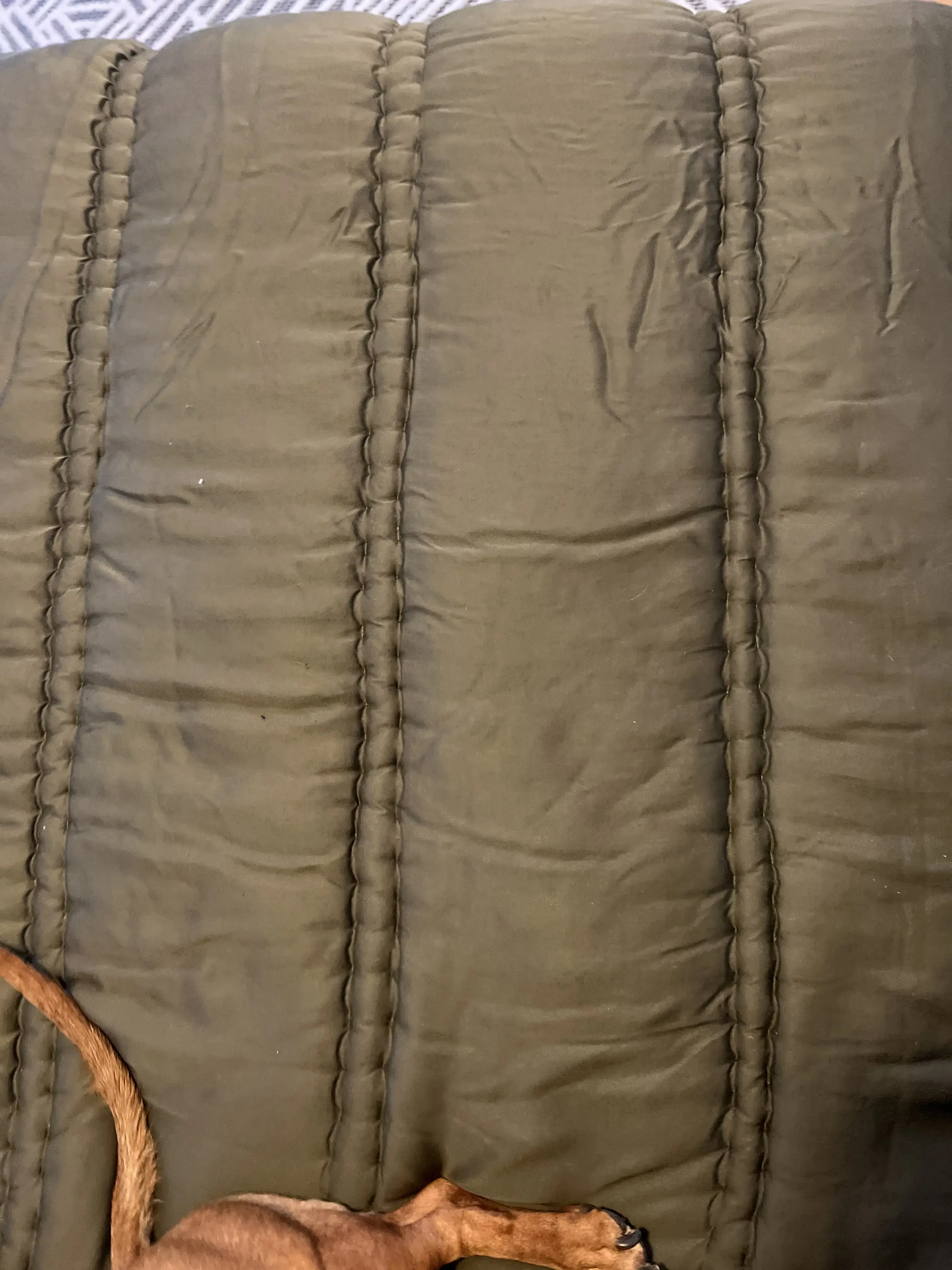 ZIPS Cleaners - Image 10