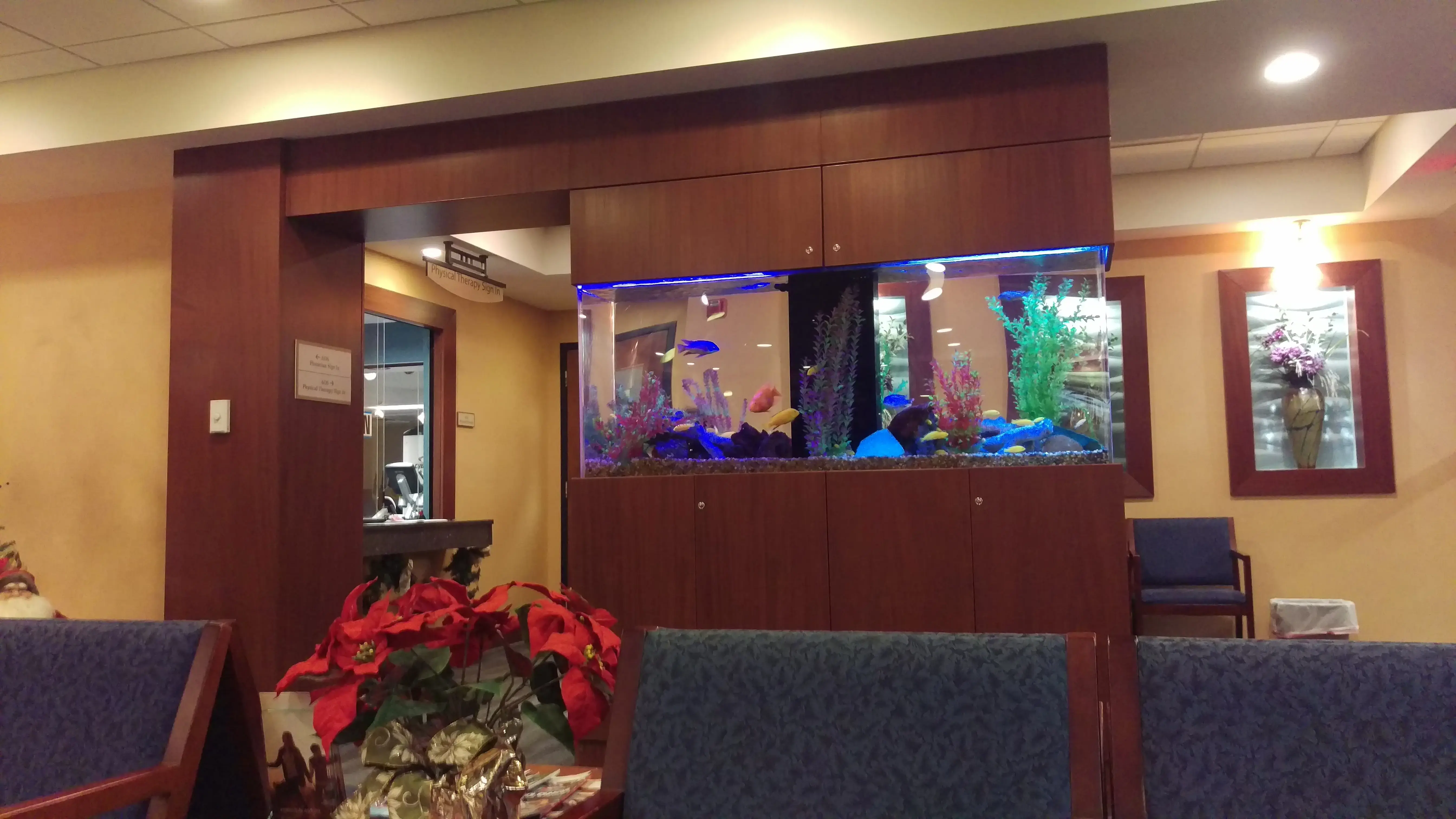 Advanced Orthopedic Specialists photo 3