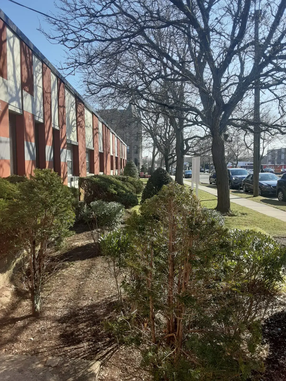 Alla Brouk MD photo 4