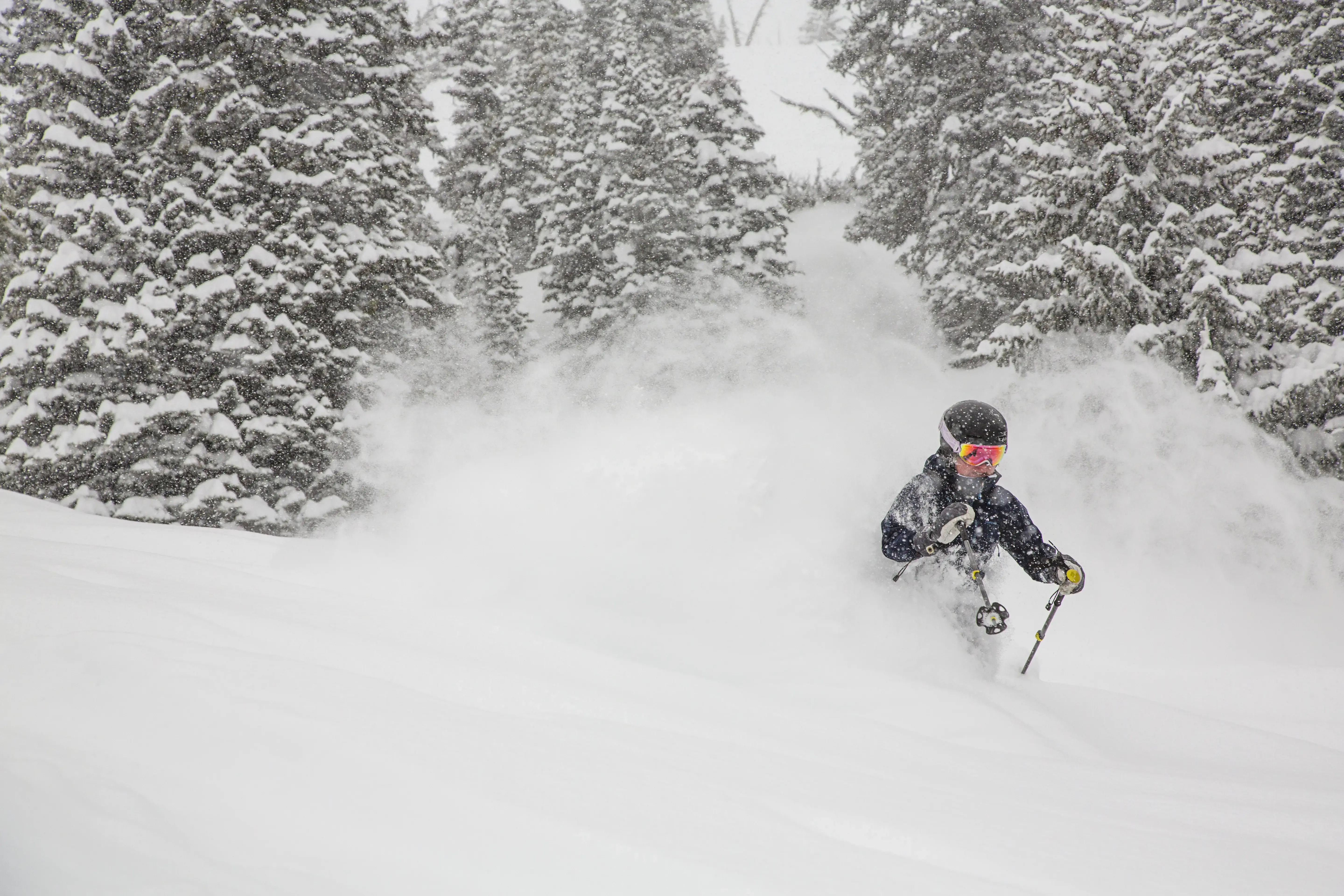 Alpine Orthopedics and Sports Medicine photo 2