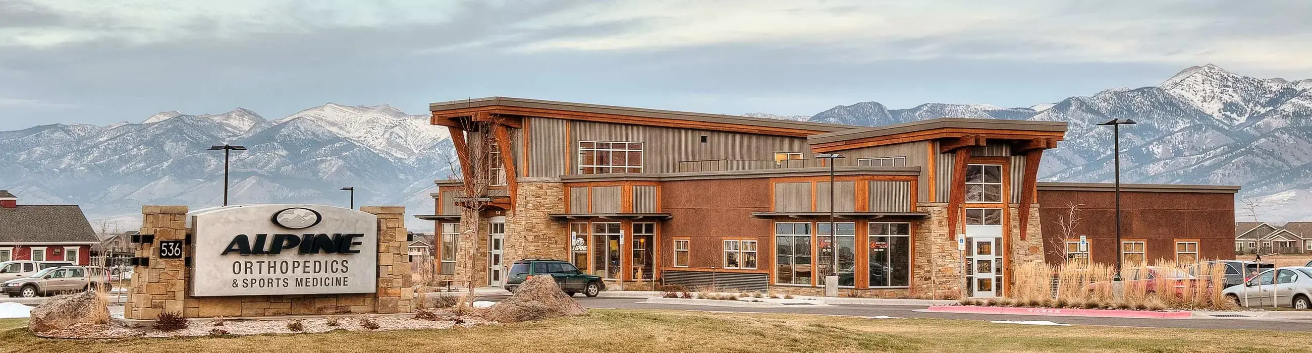 Alpine Orthopedics and Sports Medicine