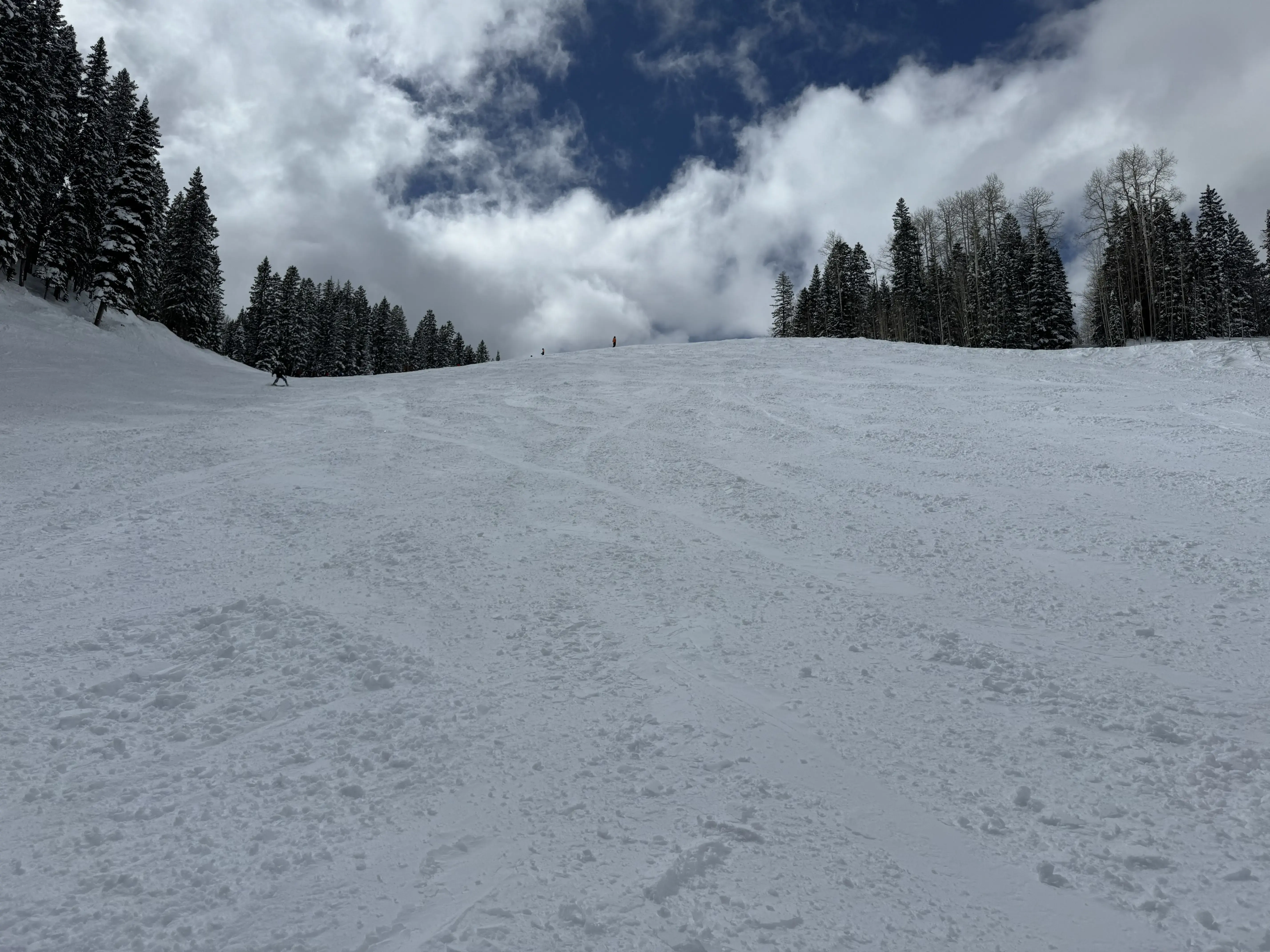 Animas Orthopedic Associates photo 4