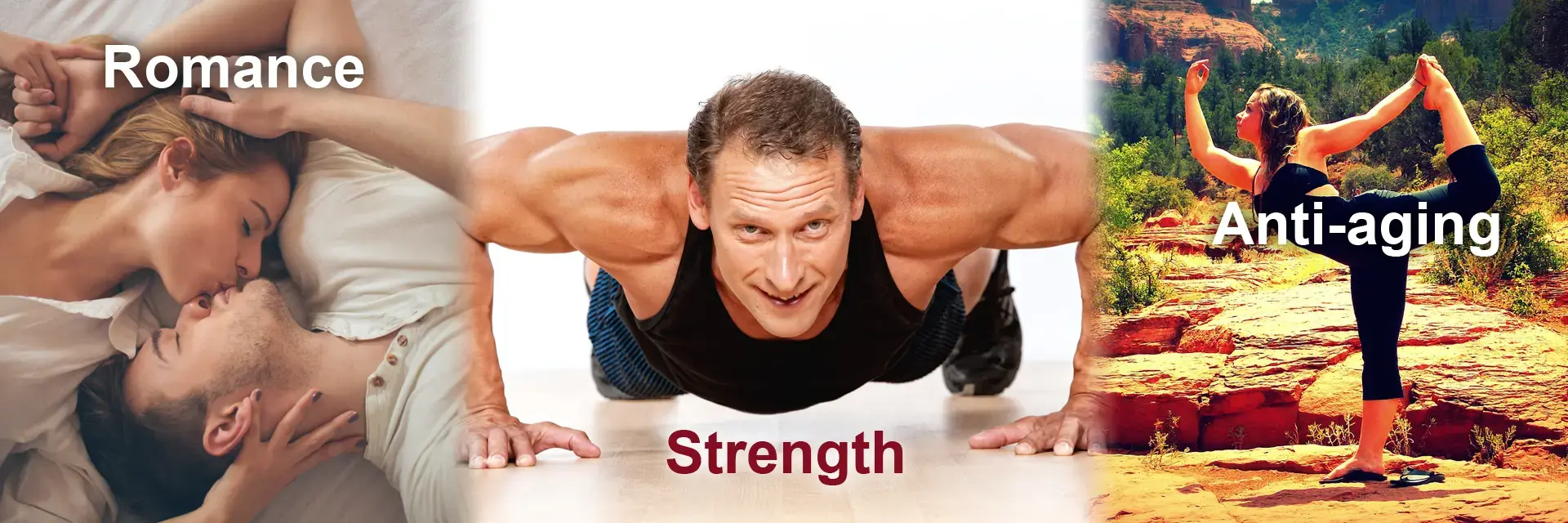 Anti Aging and Functional Medicine