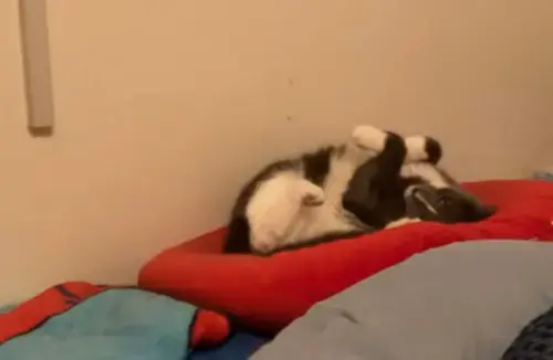 Arc of Life Medical Center photo 3