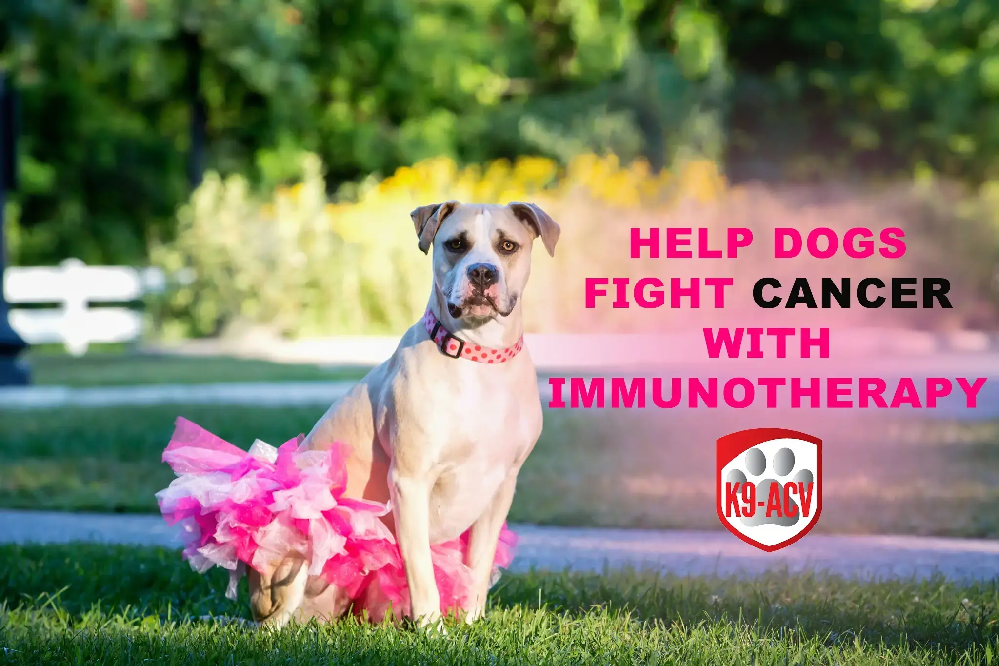 Ardent Animal Health photo 4