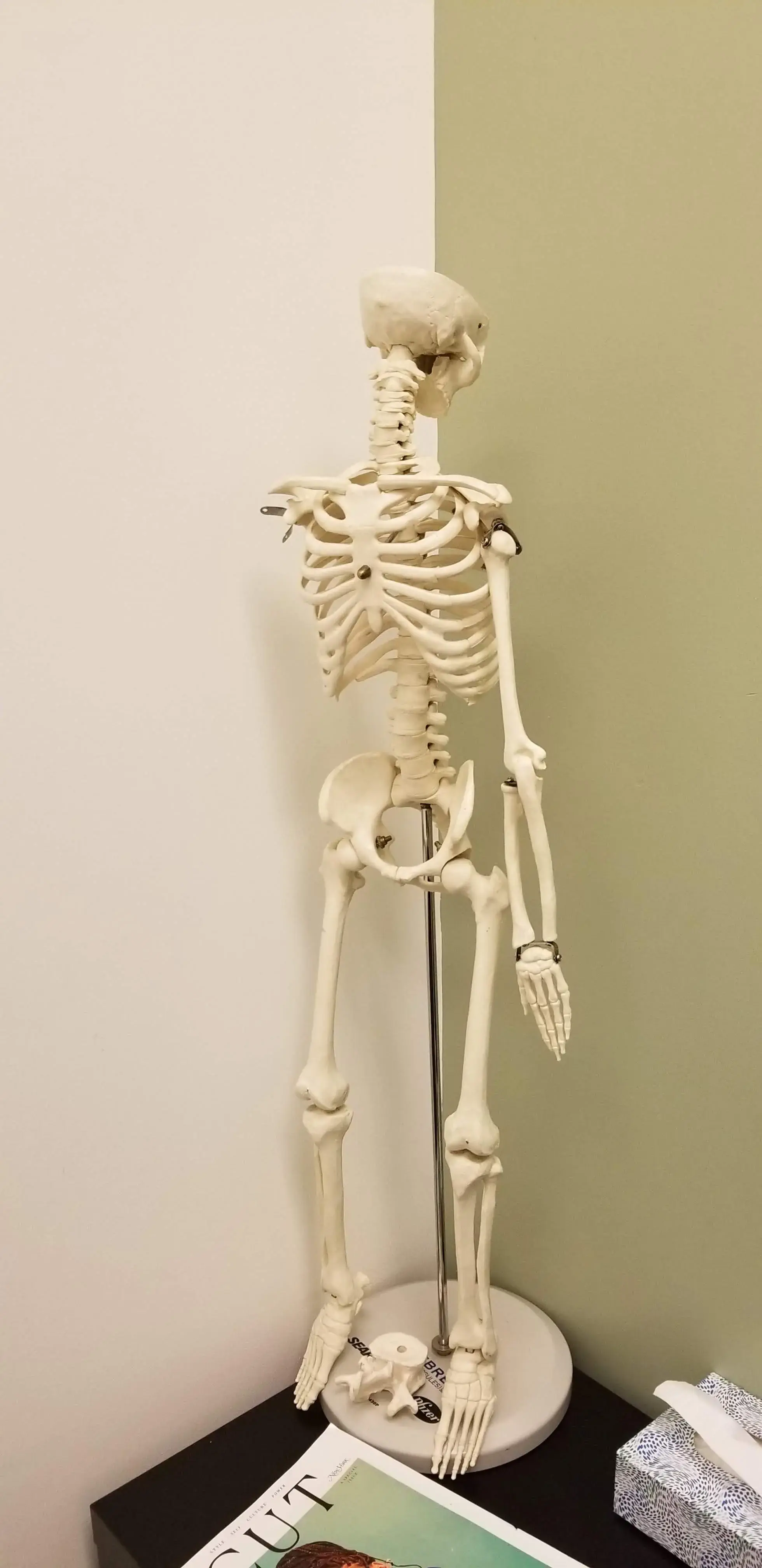 Arizona Pain And Spine Institute photo 4