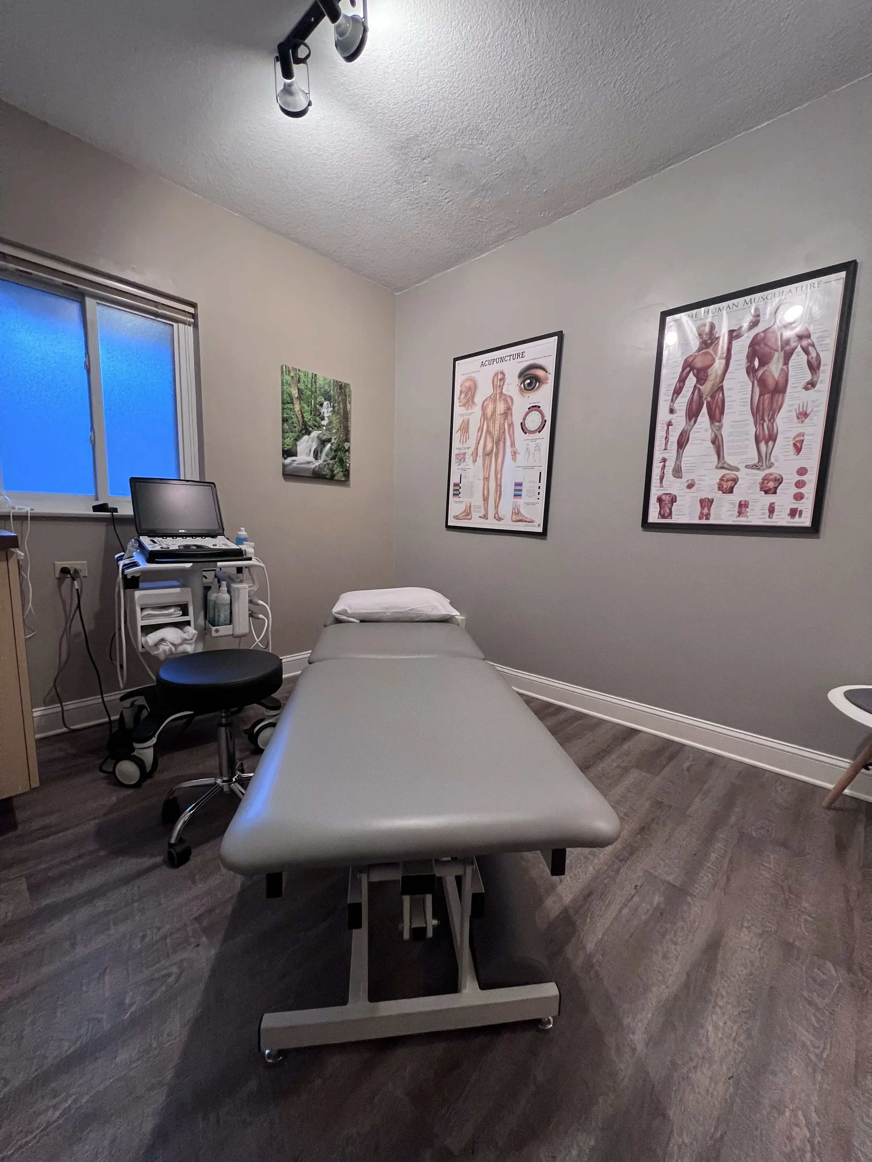 Asheville Non-Surgical Orthopedics photo 2