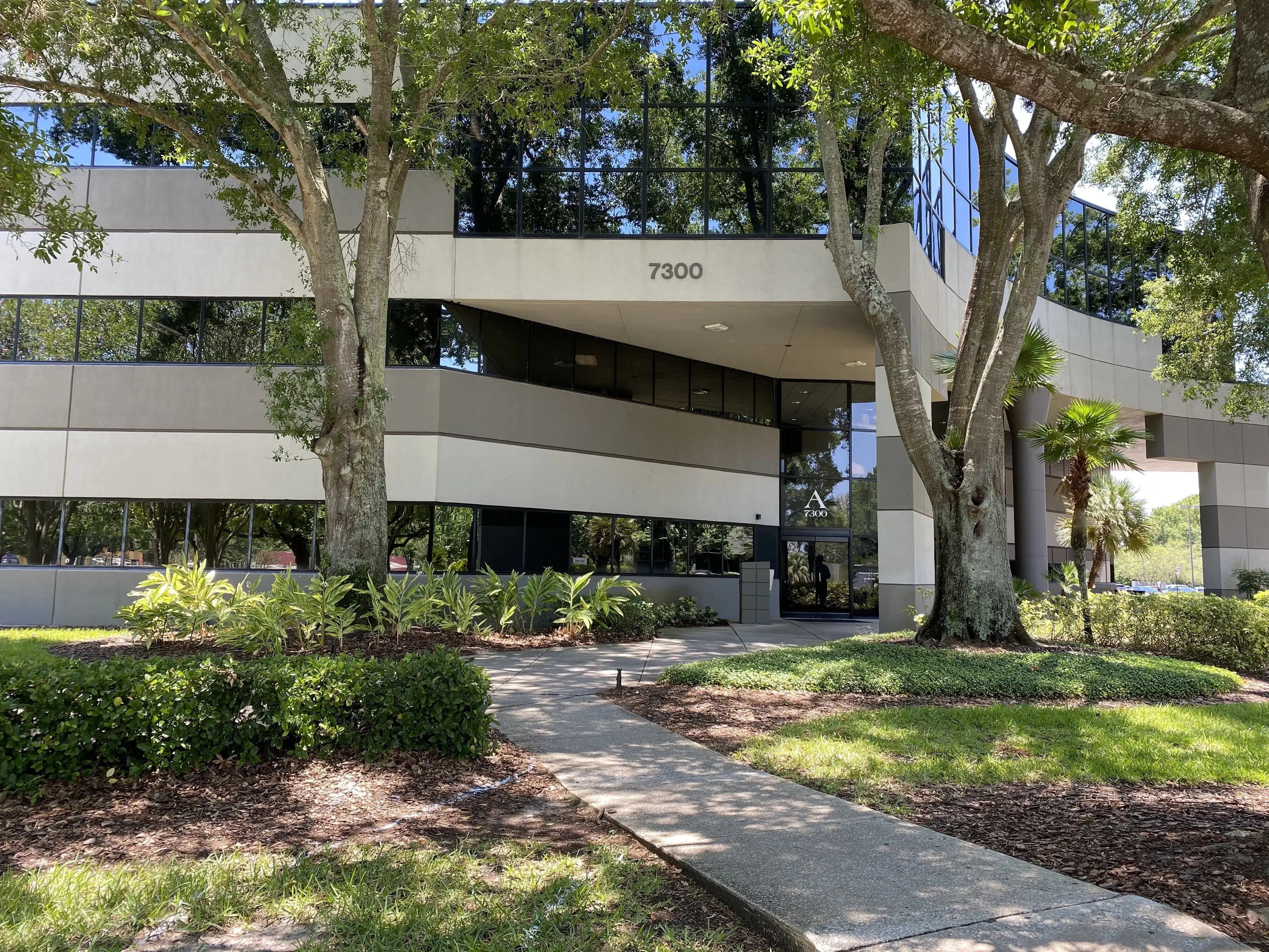 Bionic Joints photo 3