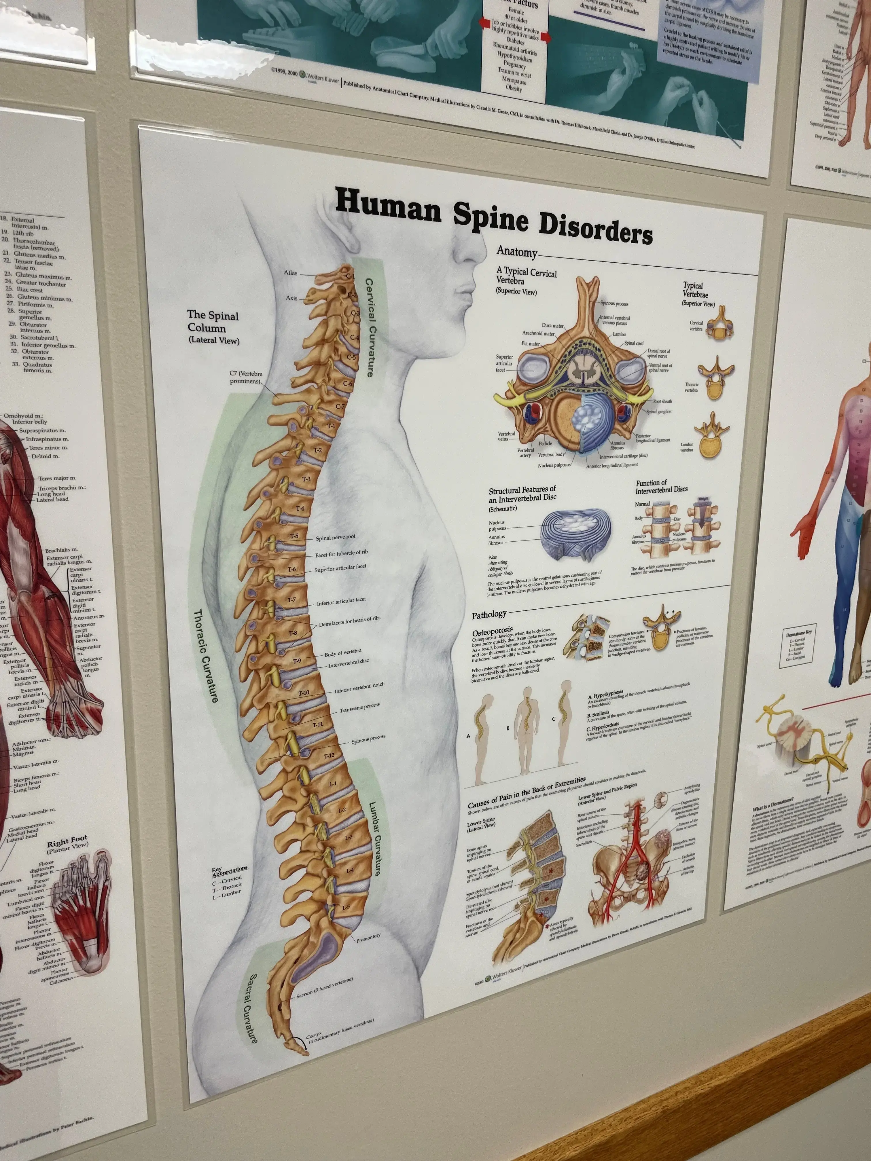 Boris M. Terebuh, MD photo 4