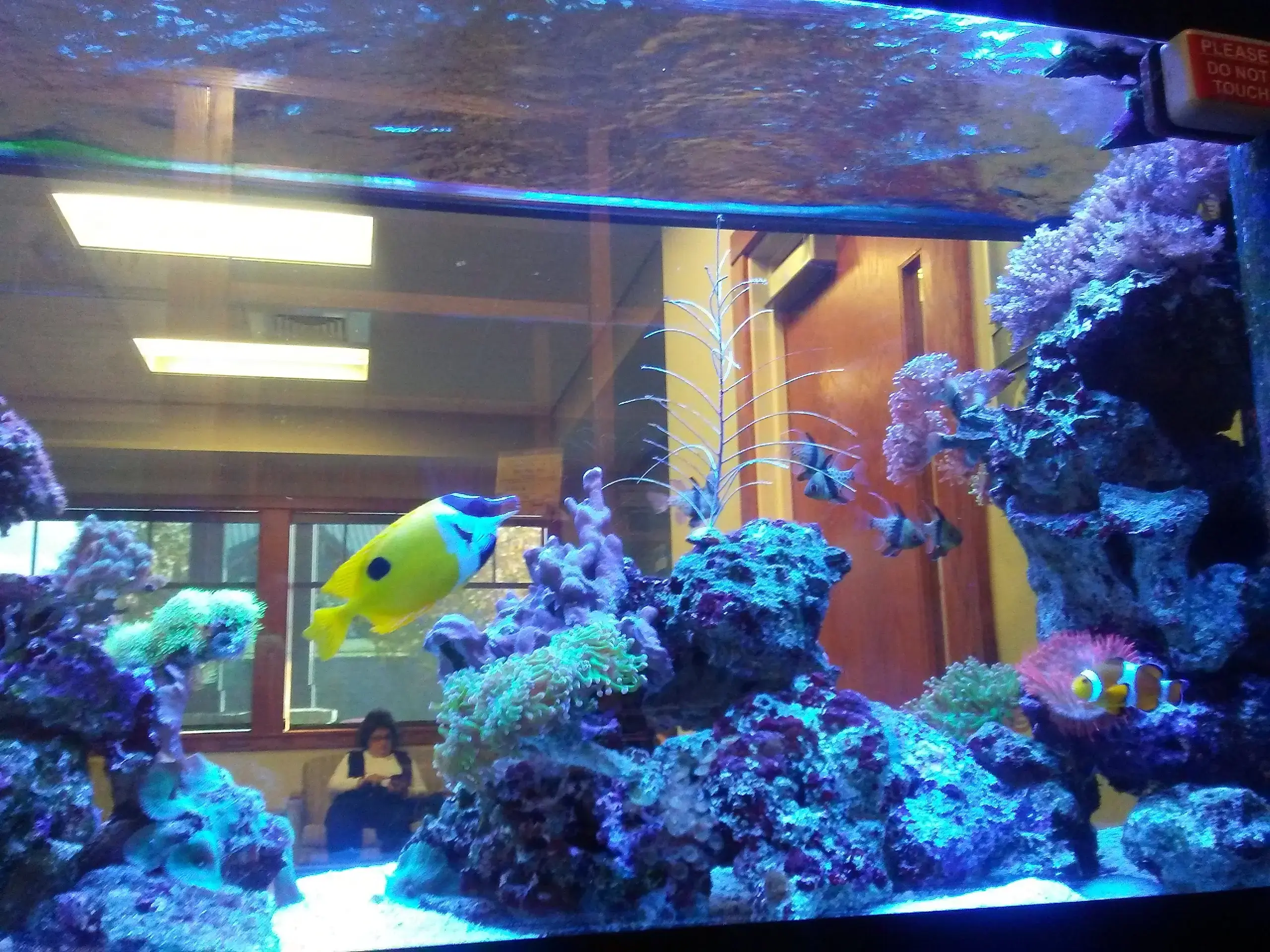 Carolina Hand & Sports Medicine photo 4