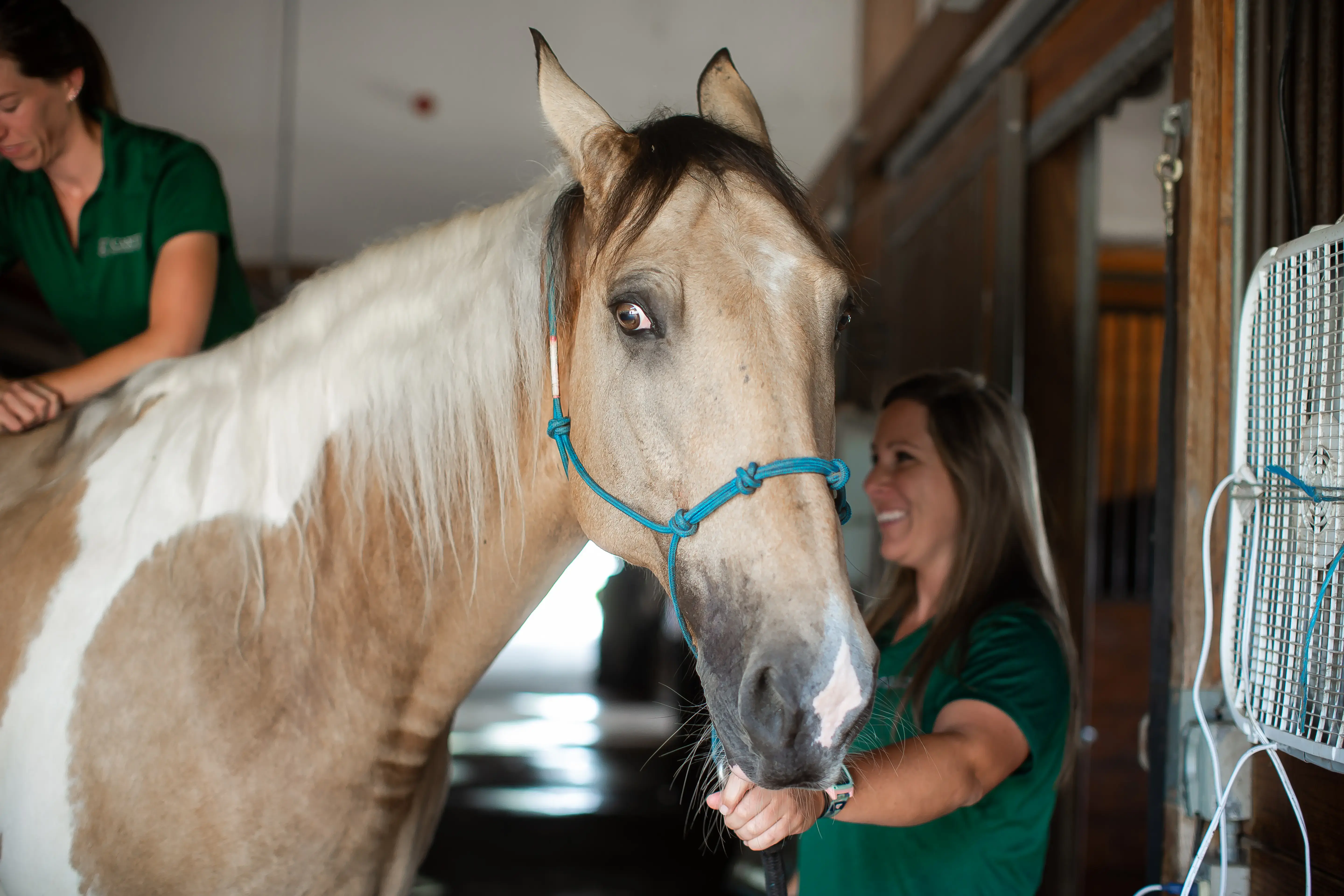 Carter Veterinary Services photo 3