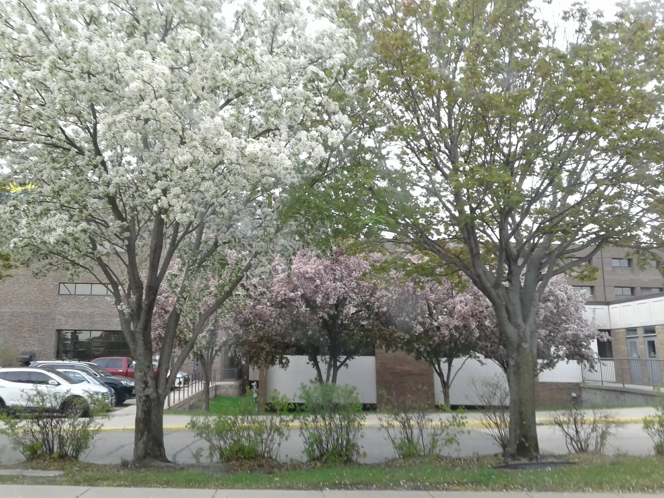 CentraCare - Willmar Clinic photo 5