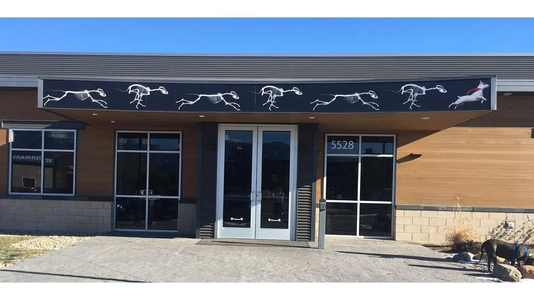 Colorado Canine Orthopedics & Rehab