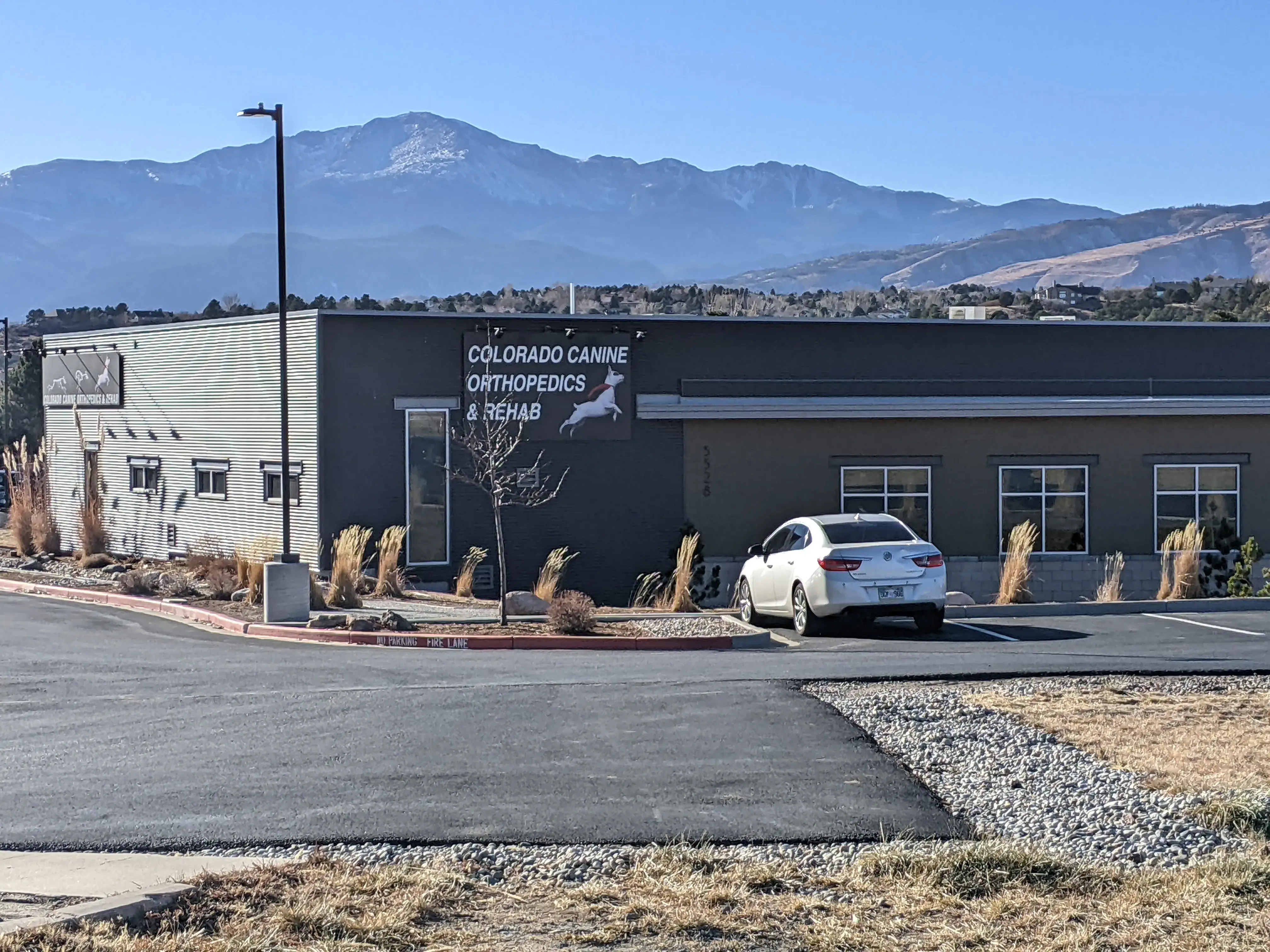 Colorado Canine Orthopedics & Rehab photo 3