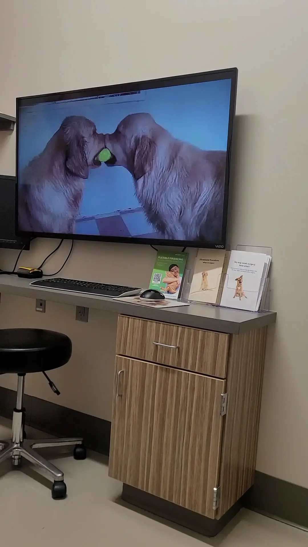 Colorado Canine Orthopedics & Rehab photo 2