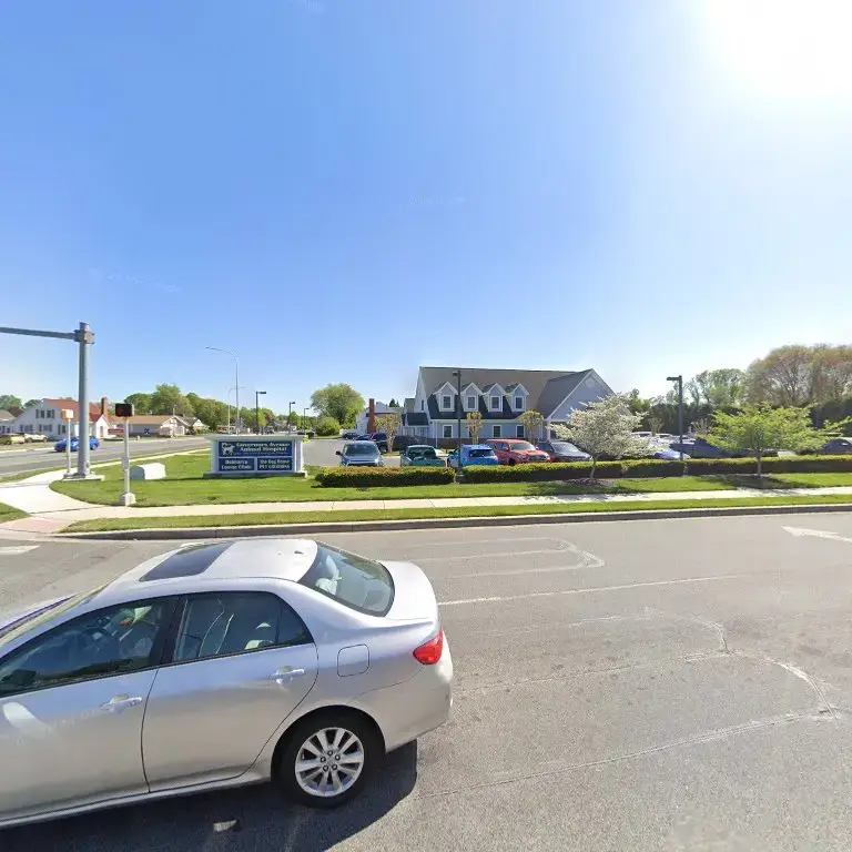 Delmarva Equine Clinic