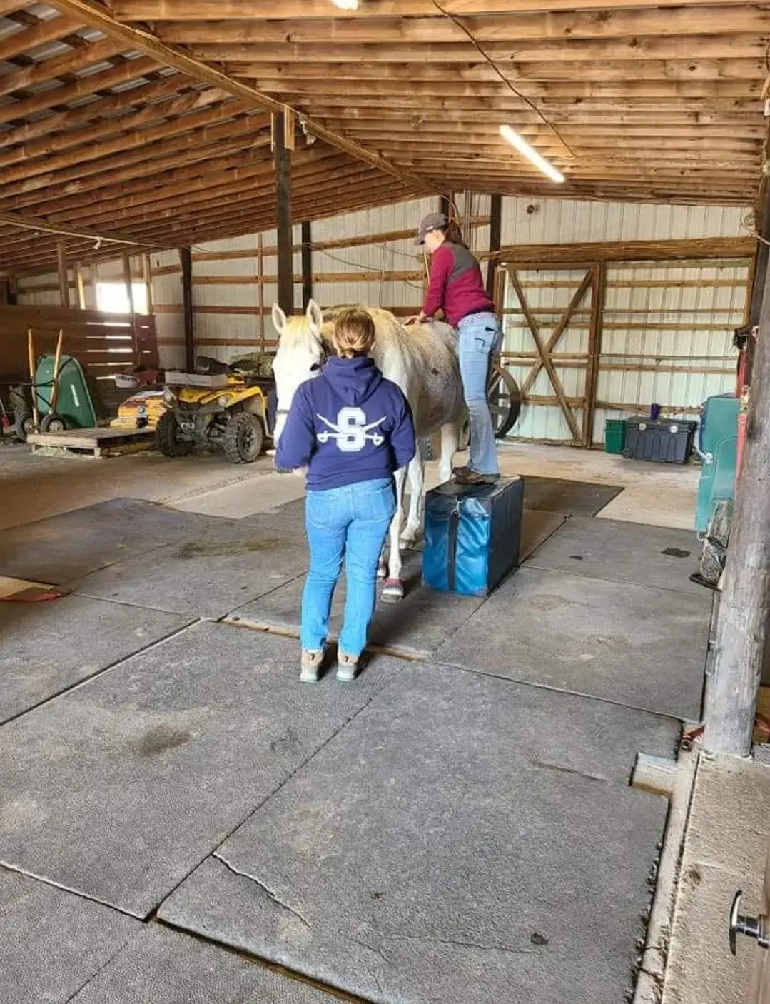 Delmarva Equine Clinic photo 2
