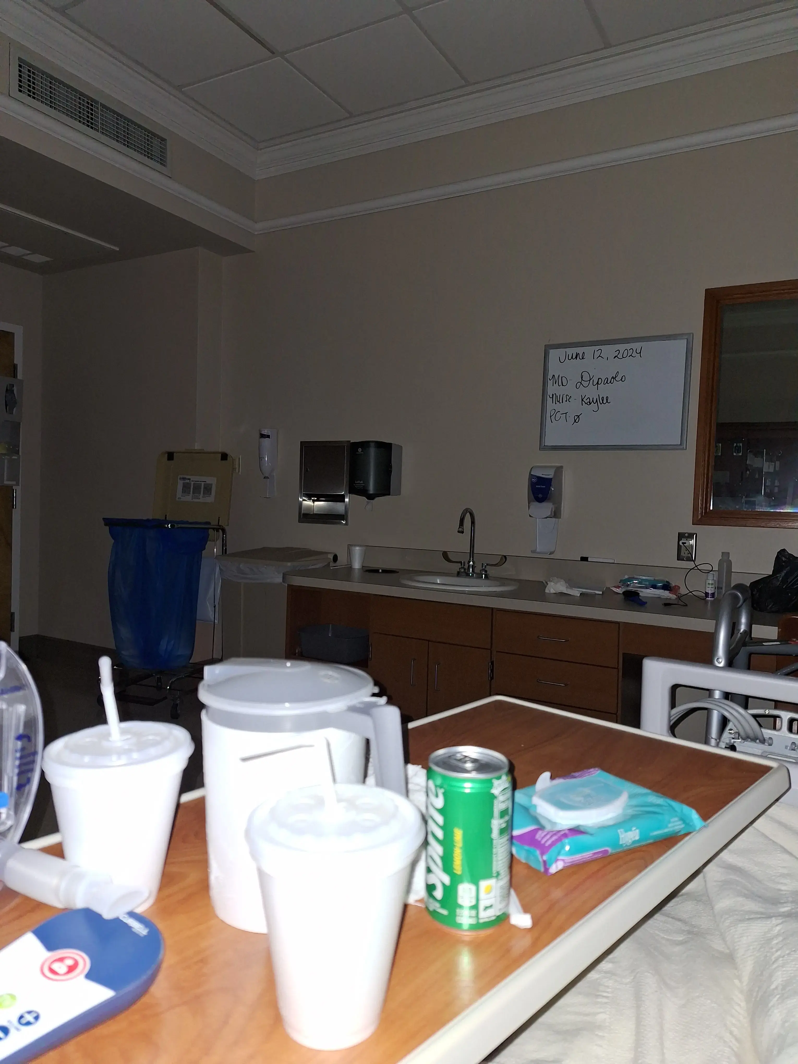 Dr. Daneca M. DiPaolo photo 2