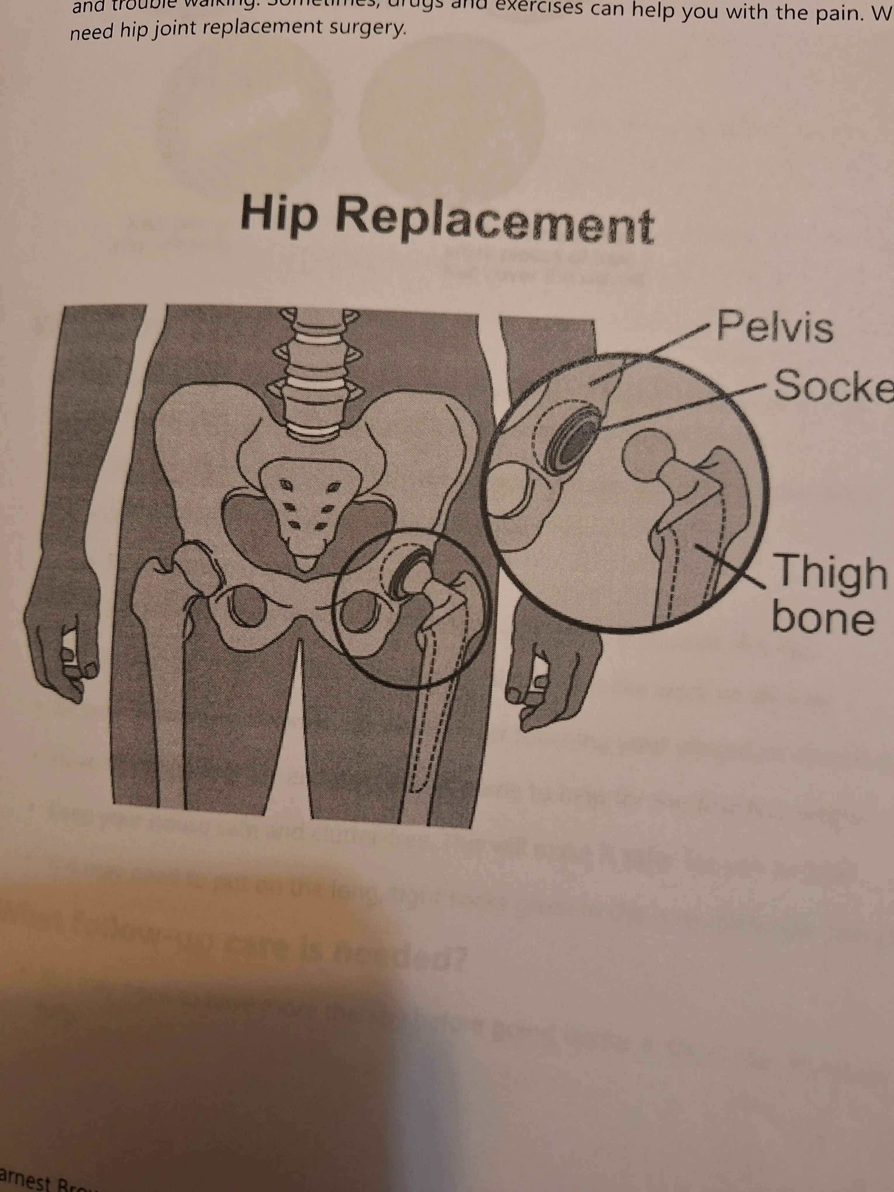 Dr. Daneca M. DiPaolo photo 3