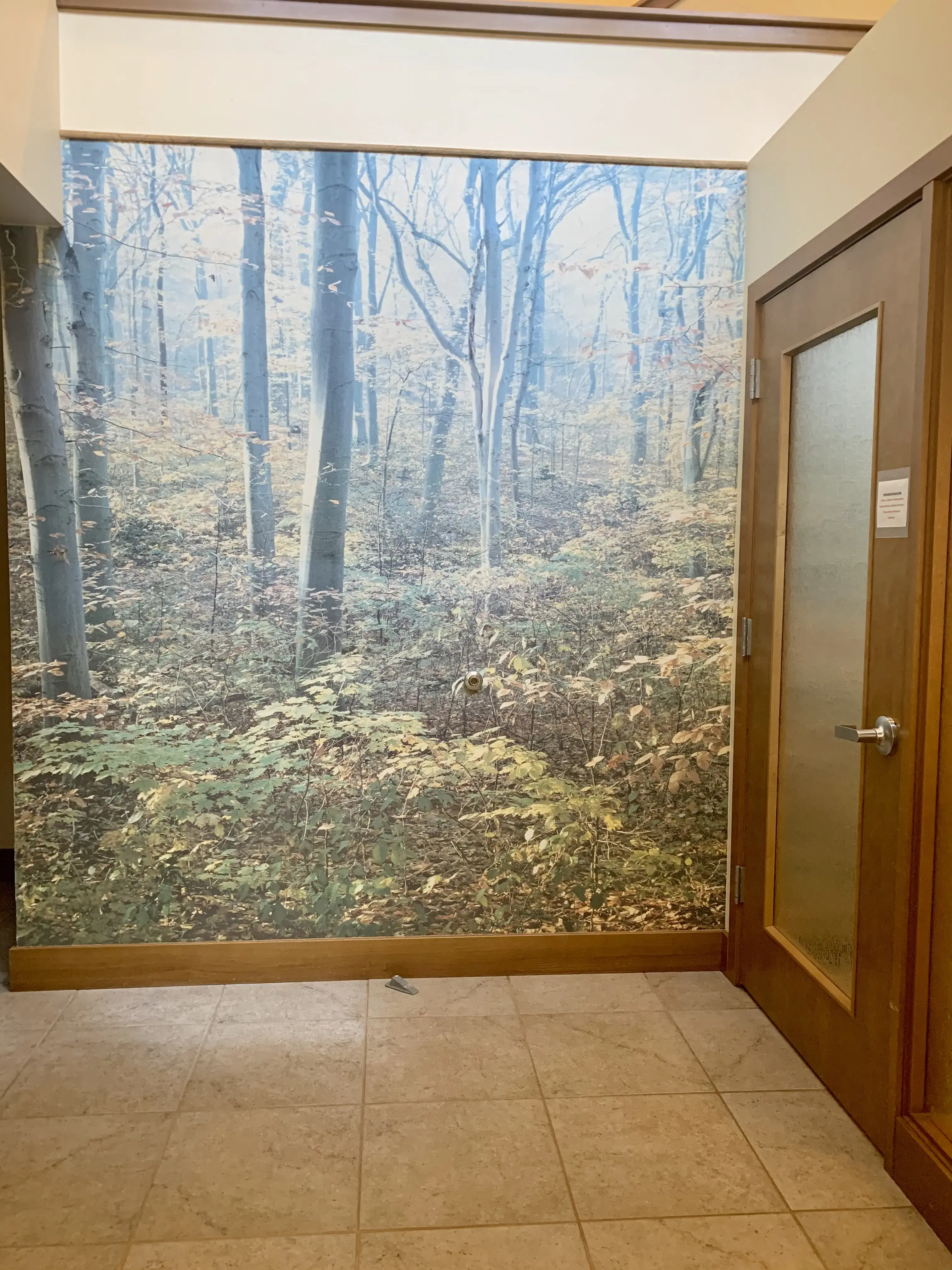 Dr. David A Velling, MD photo 4