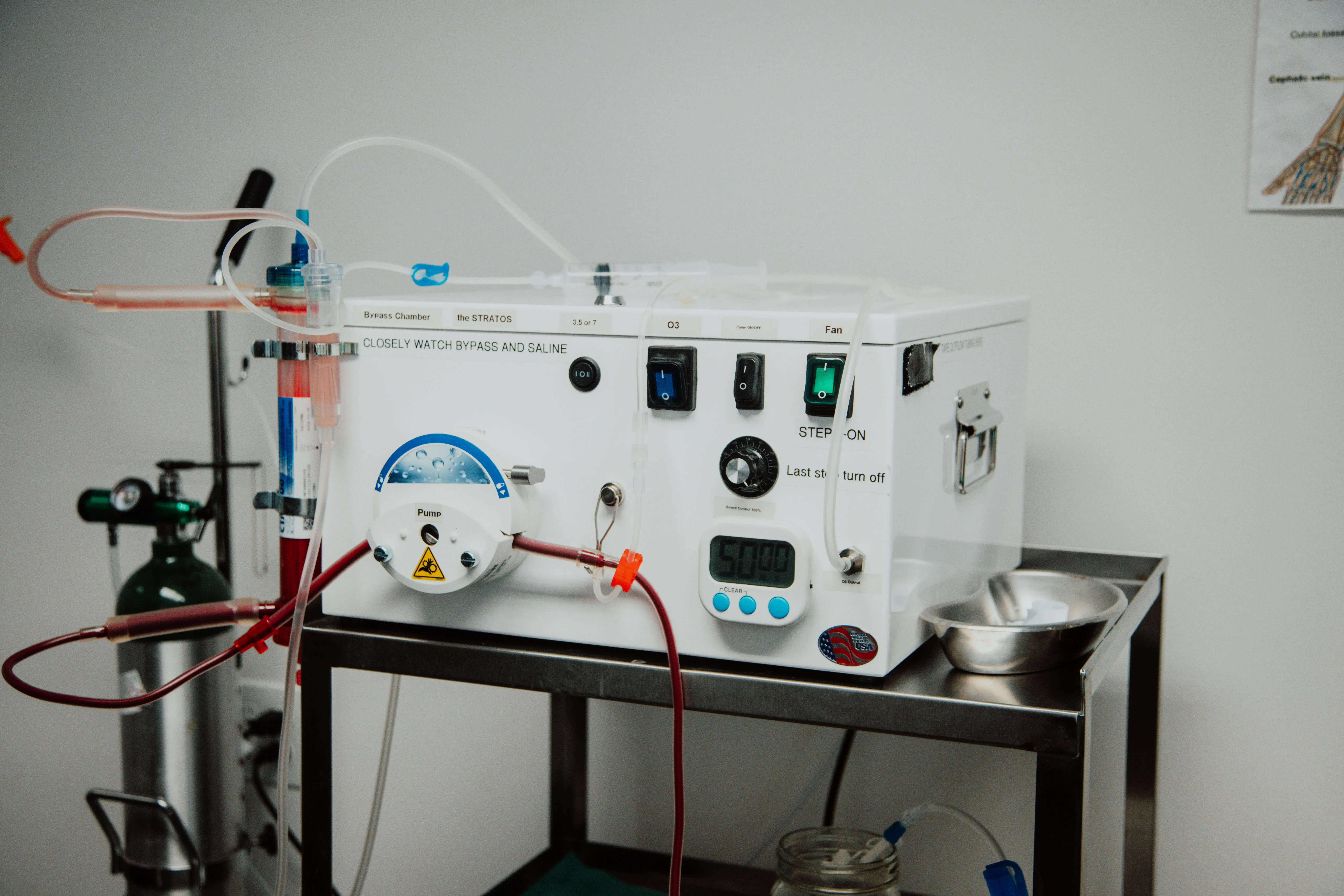 Dr. Sarah Washatka photo 4