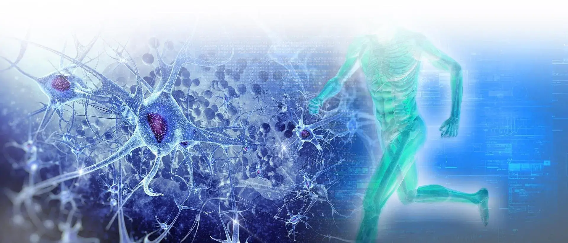 Dr. Stem Cell photo 4