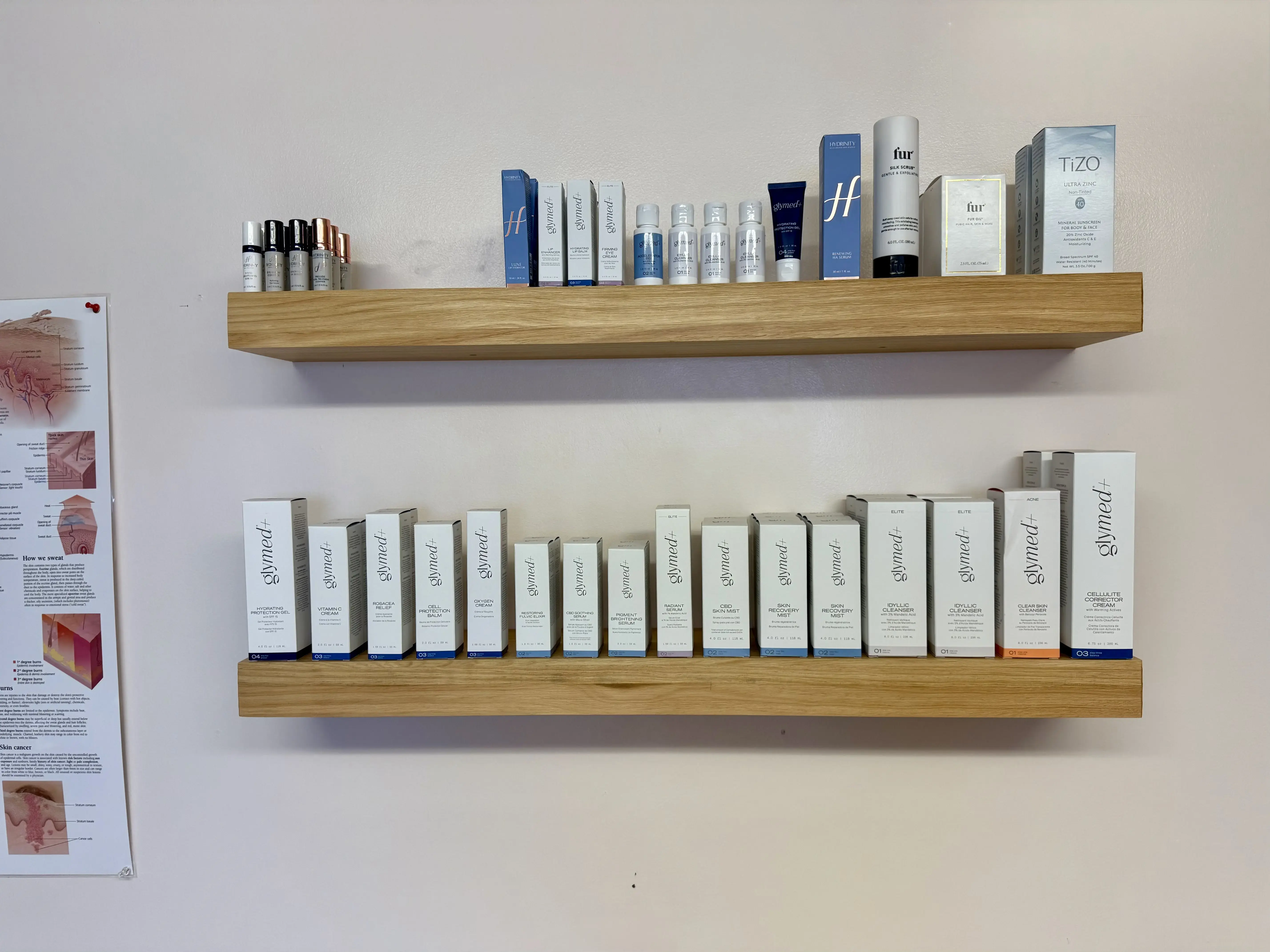 Enhance Aesthetics photo 4