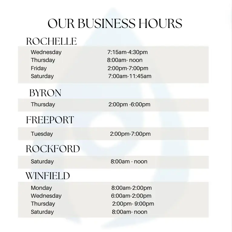 Essential Infusions Plus photo 4