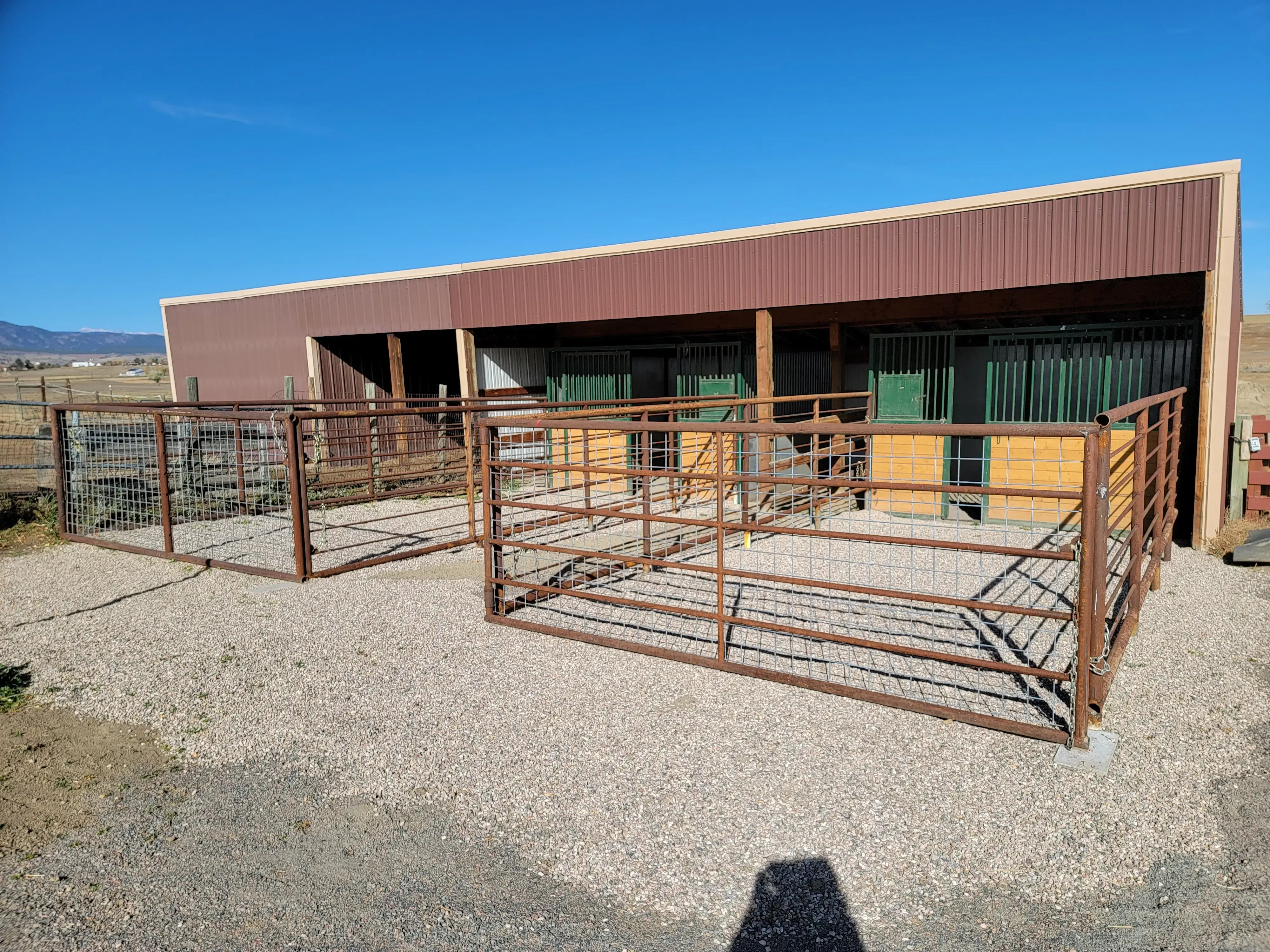 Front Range Equine Performance & Rehabilitation photo 4