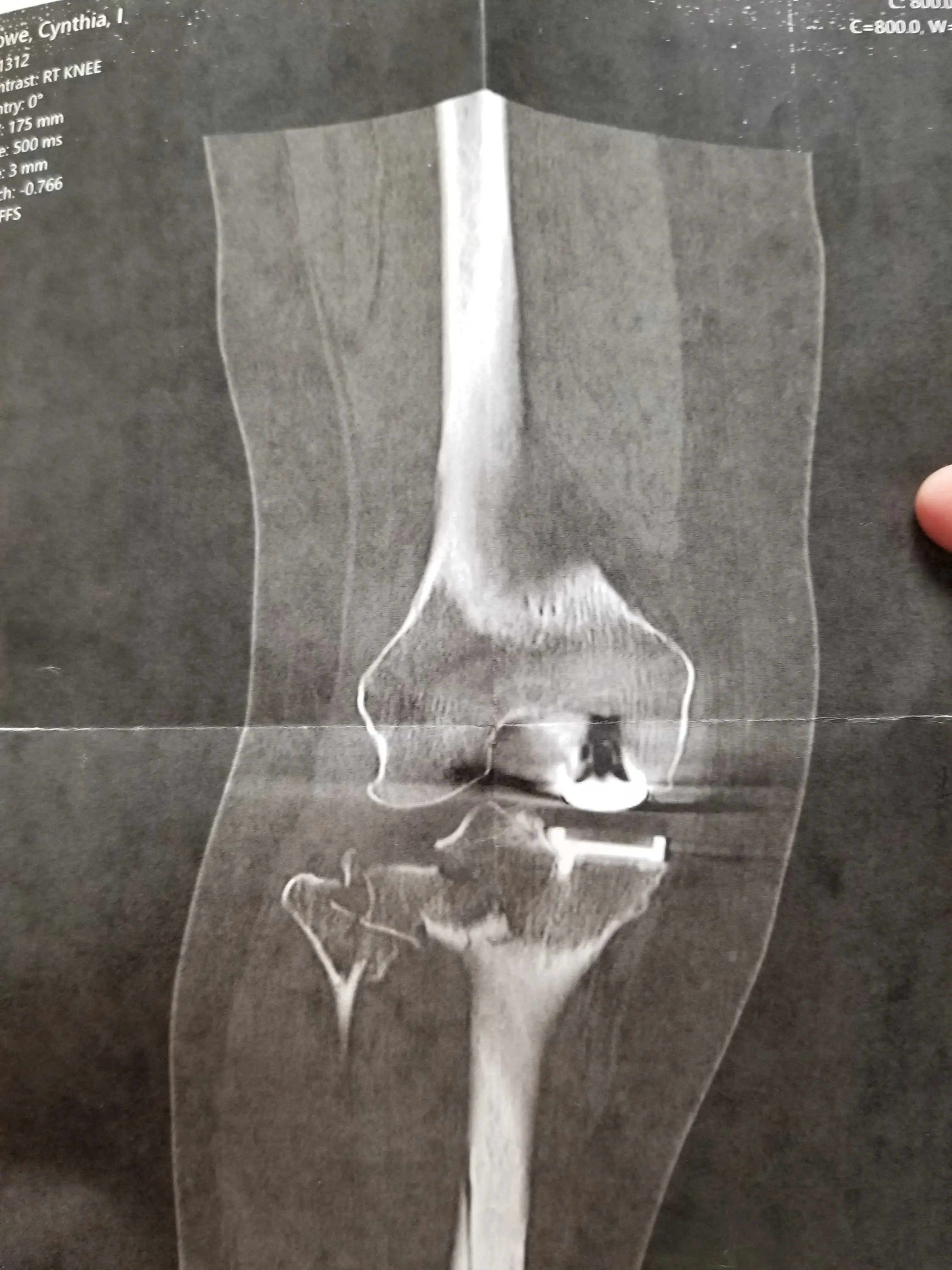 Gulf Orthopaedics photo 3