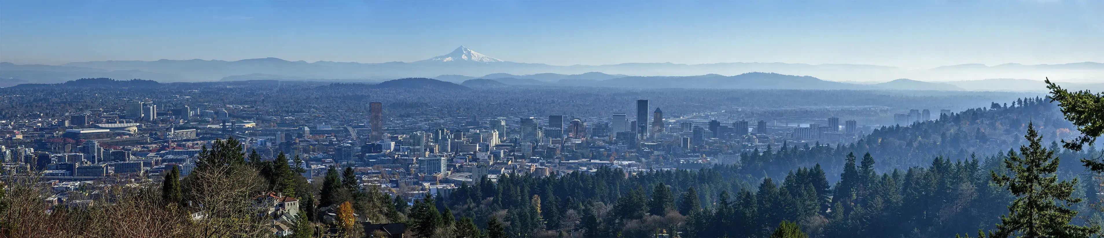 Gustav Fischer, MD photo 3
