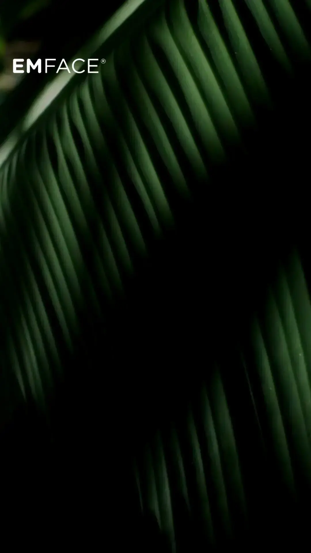 Harbor Regenerative photo 4