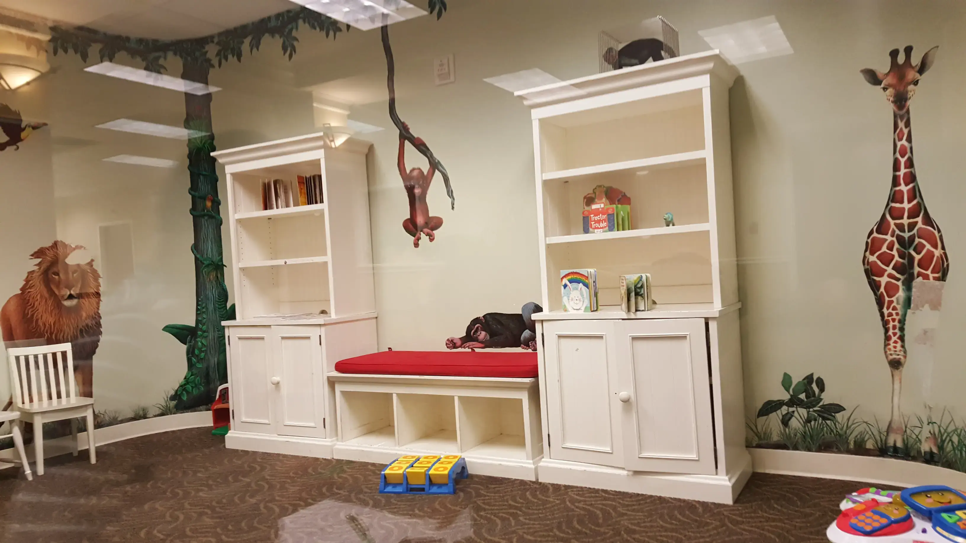 IBJI OrthoAccess Immediate Care - Morton Grove photo 2