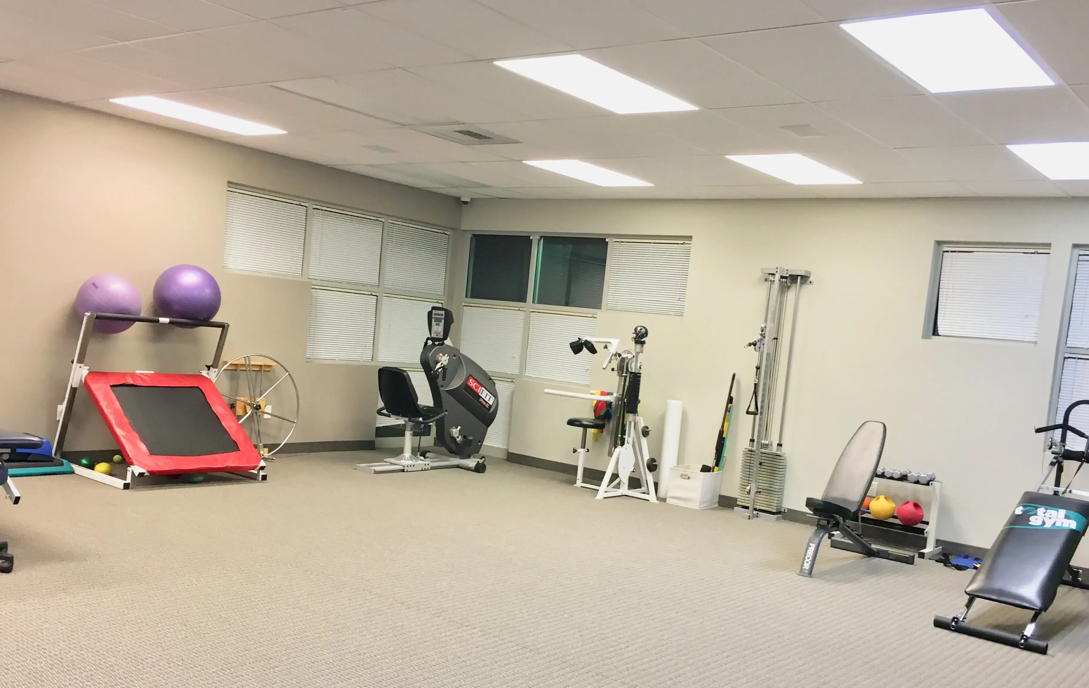 Idaho Spine & Sports Physical Therapy Boise- Five Mile photo 3