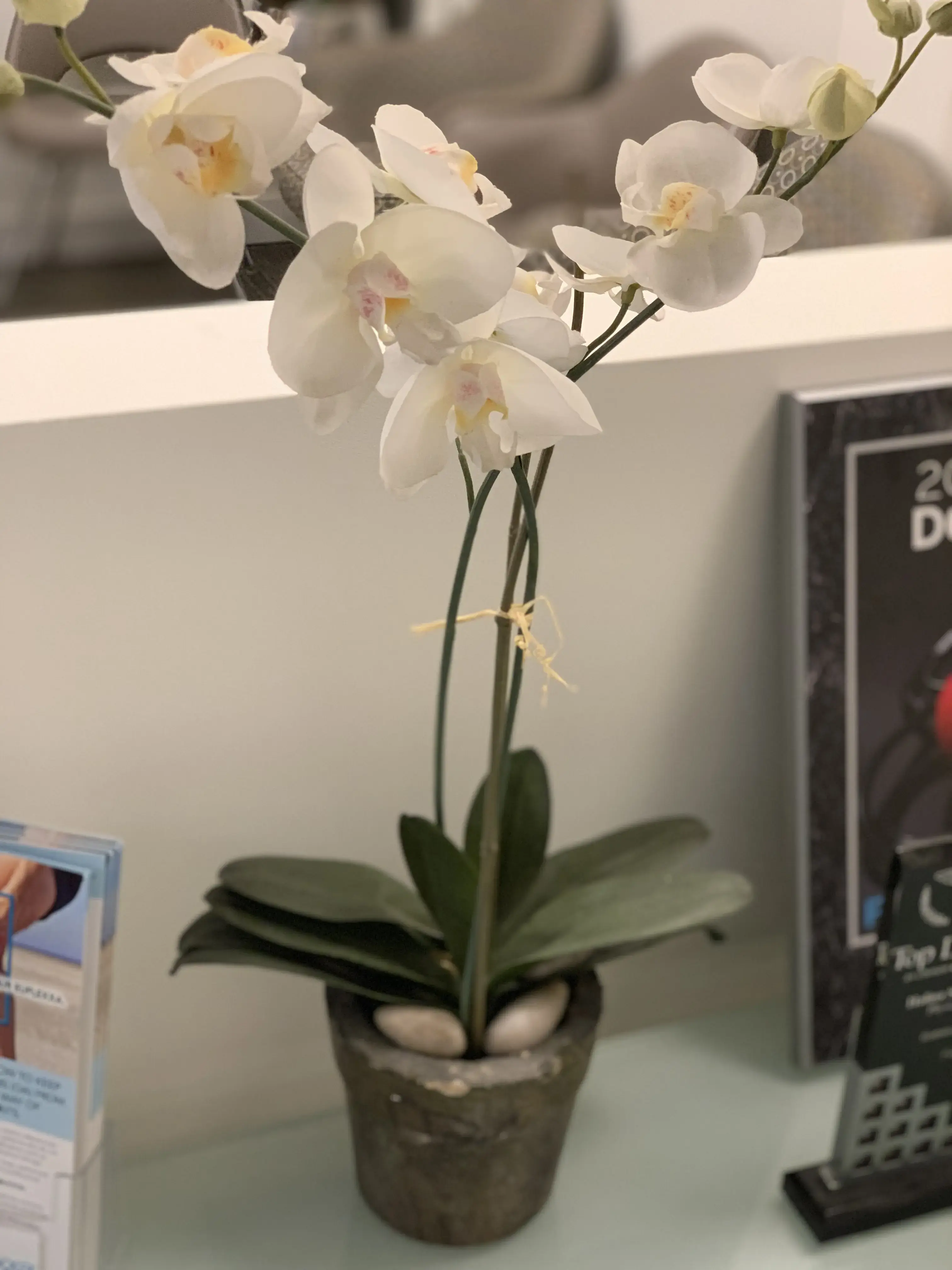 Integrated Pain Solutions: Halina Snowball, MD photo 4