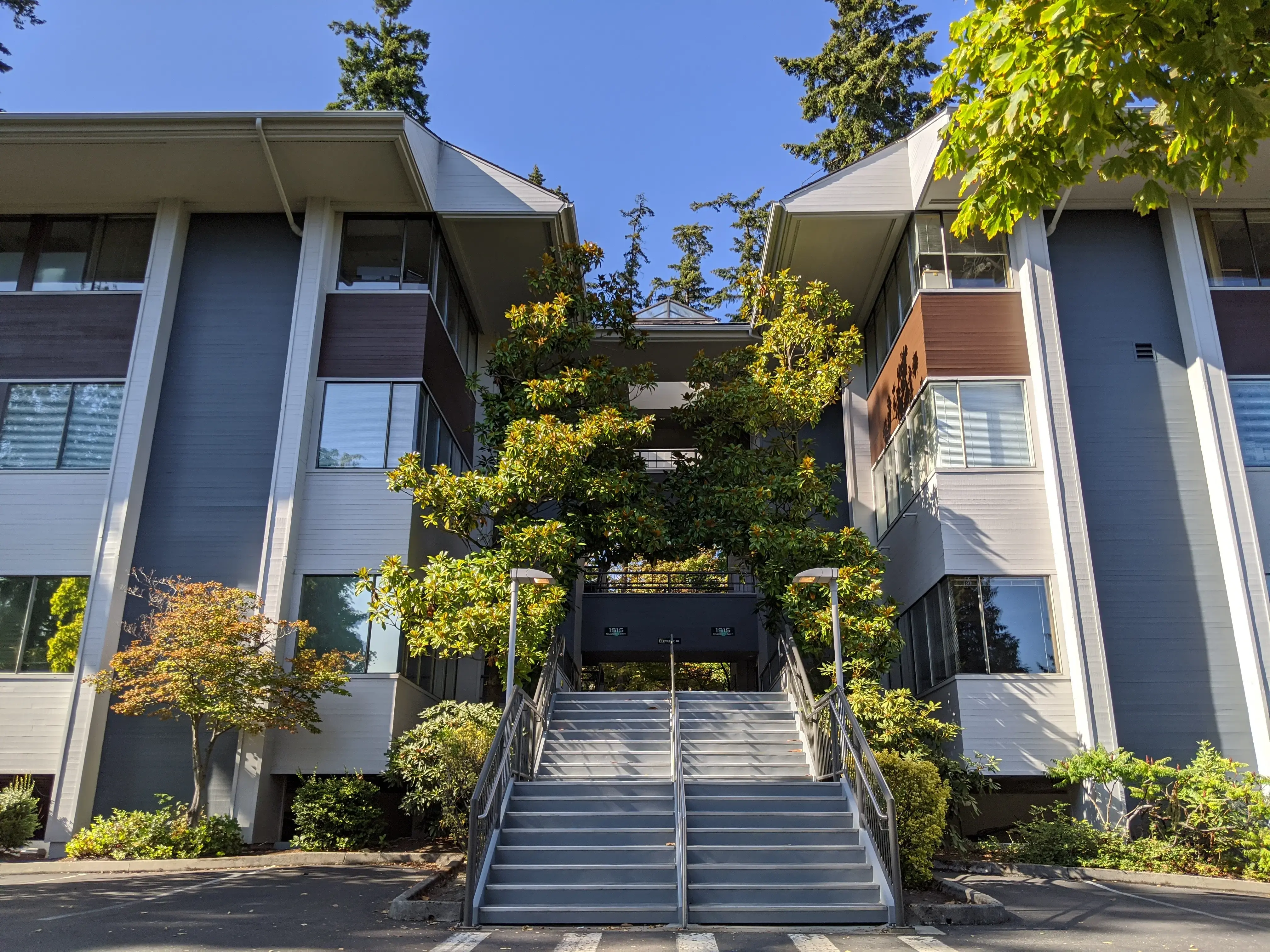 Interventional Orthopedics of Washington photo 3