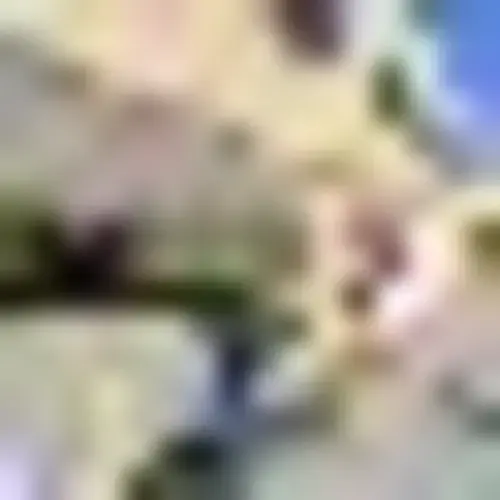 James Gardiner Jr., MD photo 2