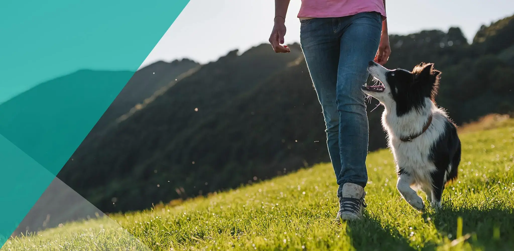 Jared Tadje, MD photo 3