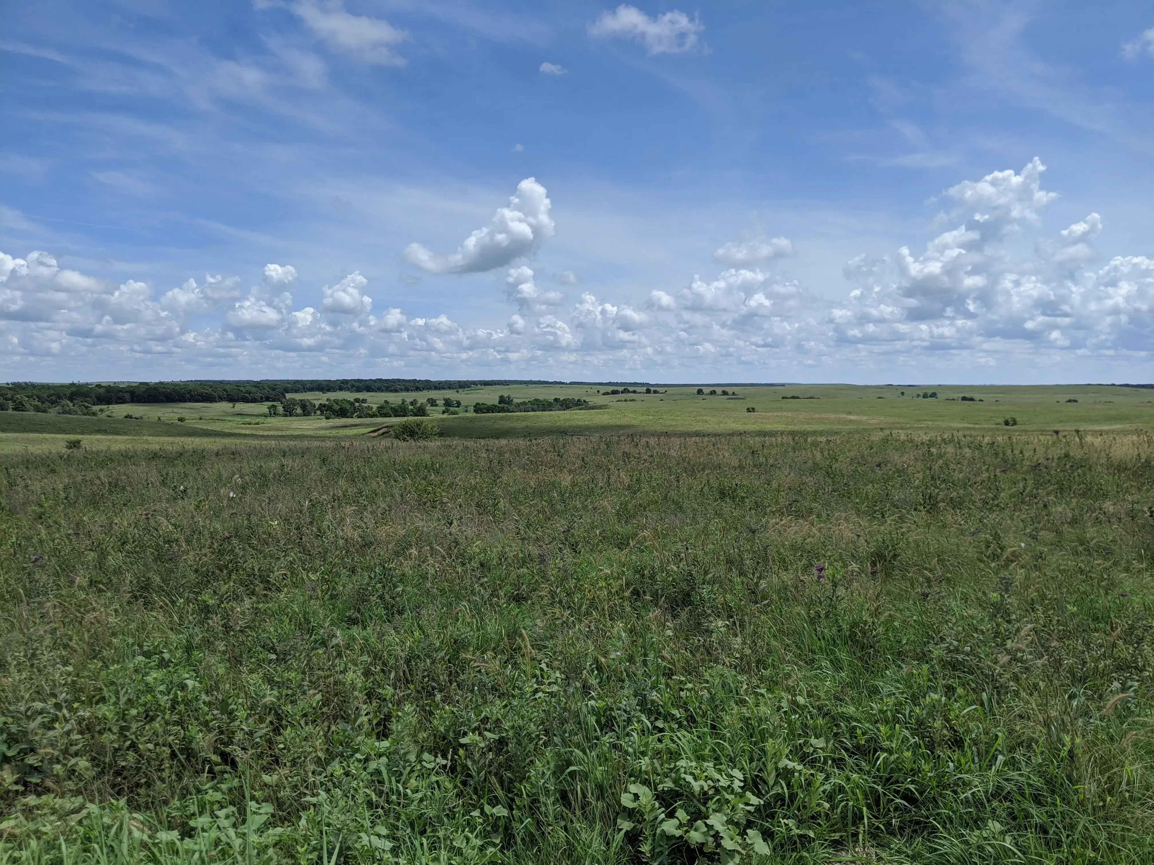 Joseph H. Williams Tallgrass Prairie Preserve