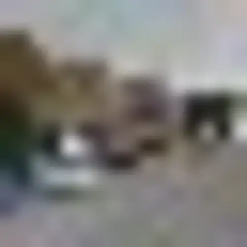 Kellum Stem Cell Institute