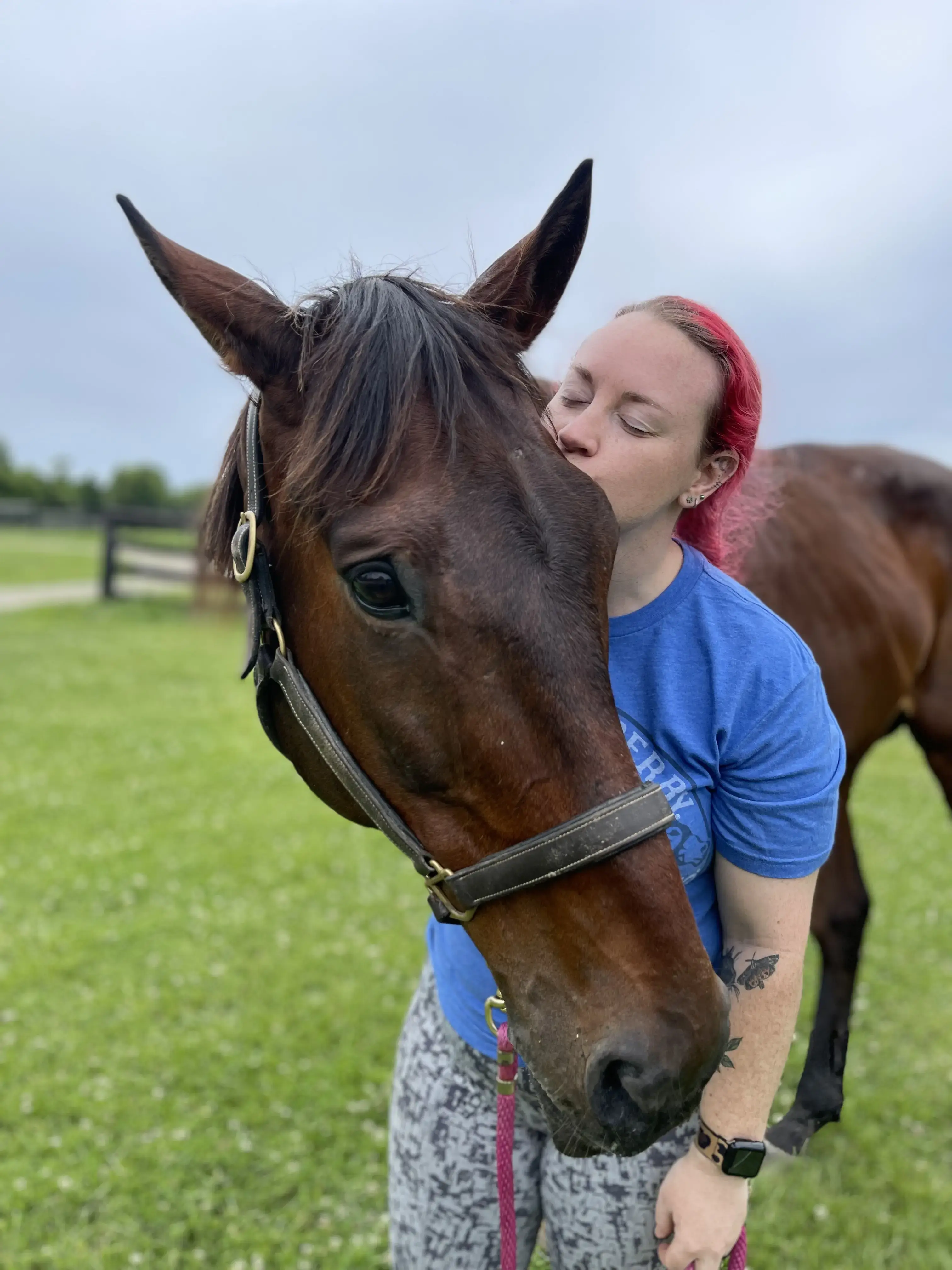 Kentucky Equine Hospital photo 3