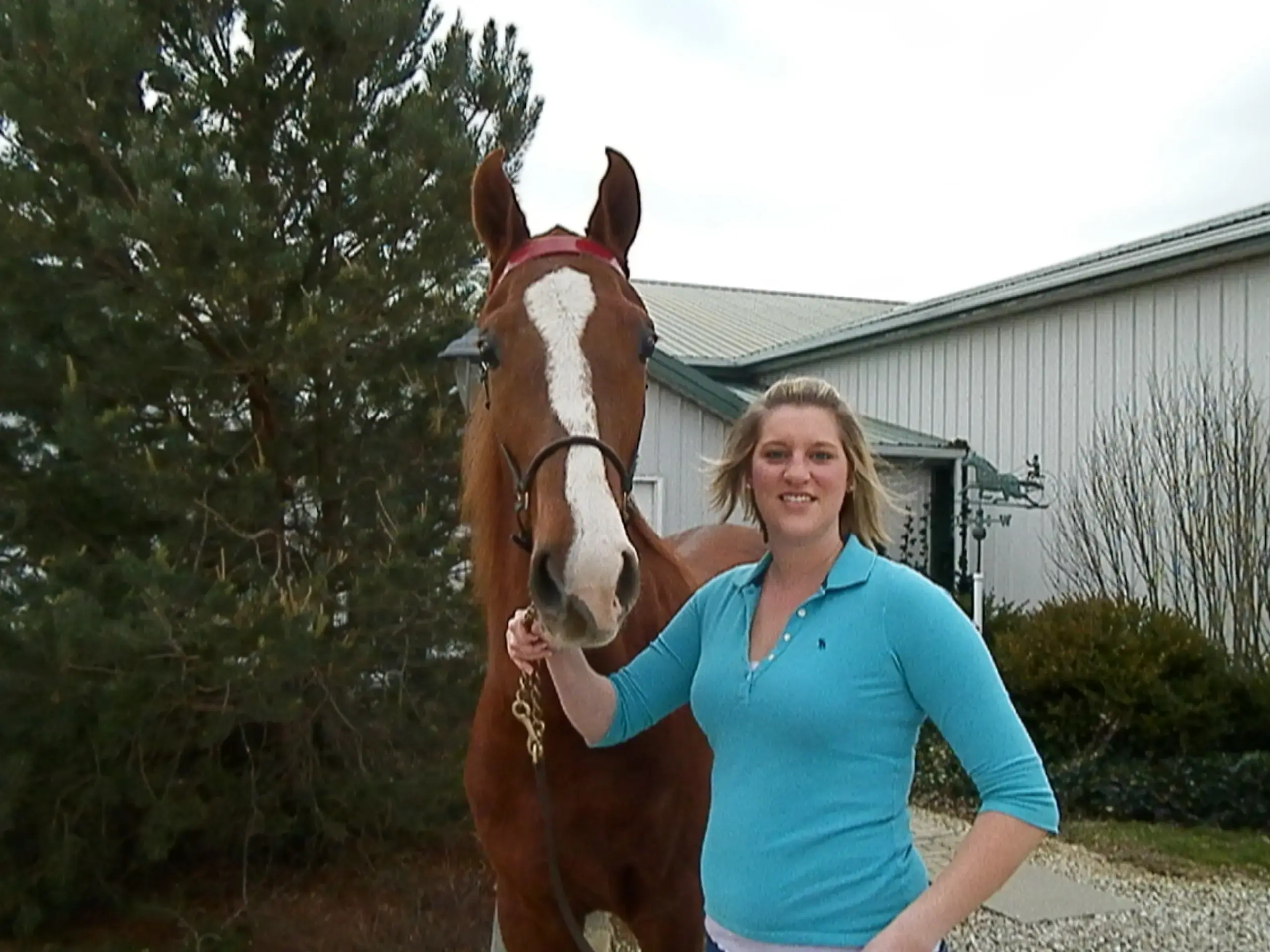 Kentucky Equine Hospital photo 4