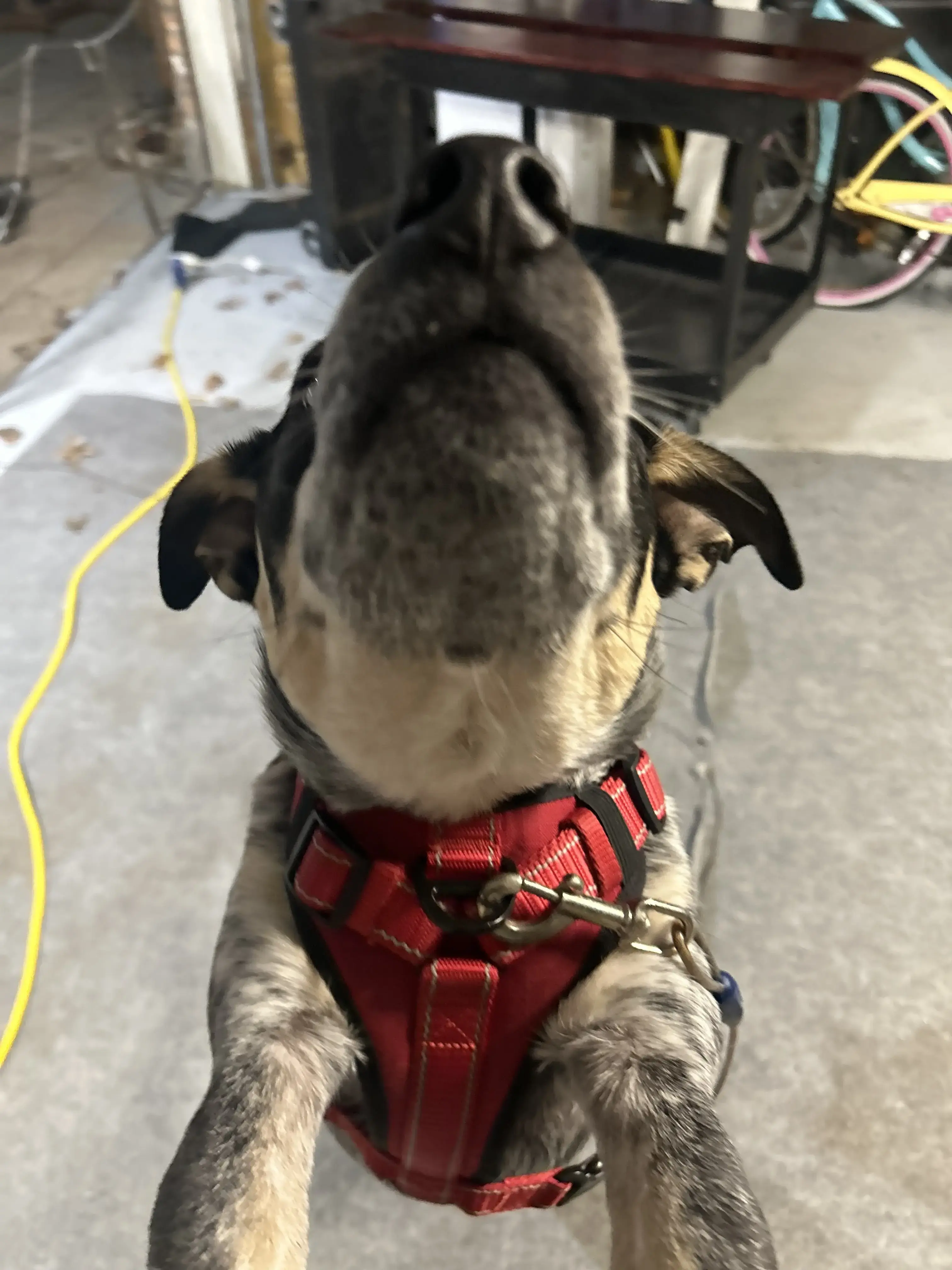 Liberty Pain Associates photo 4