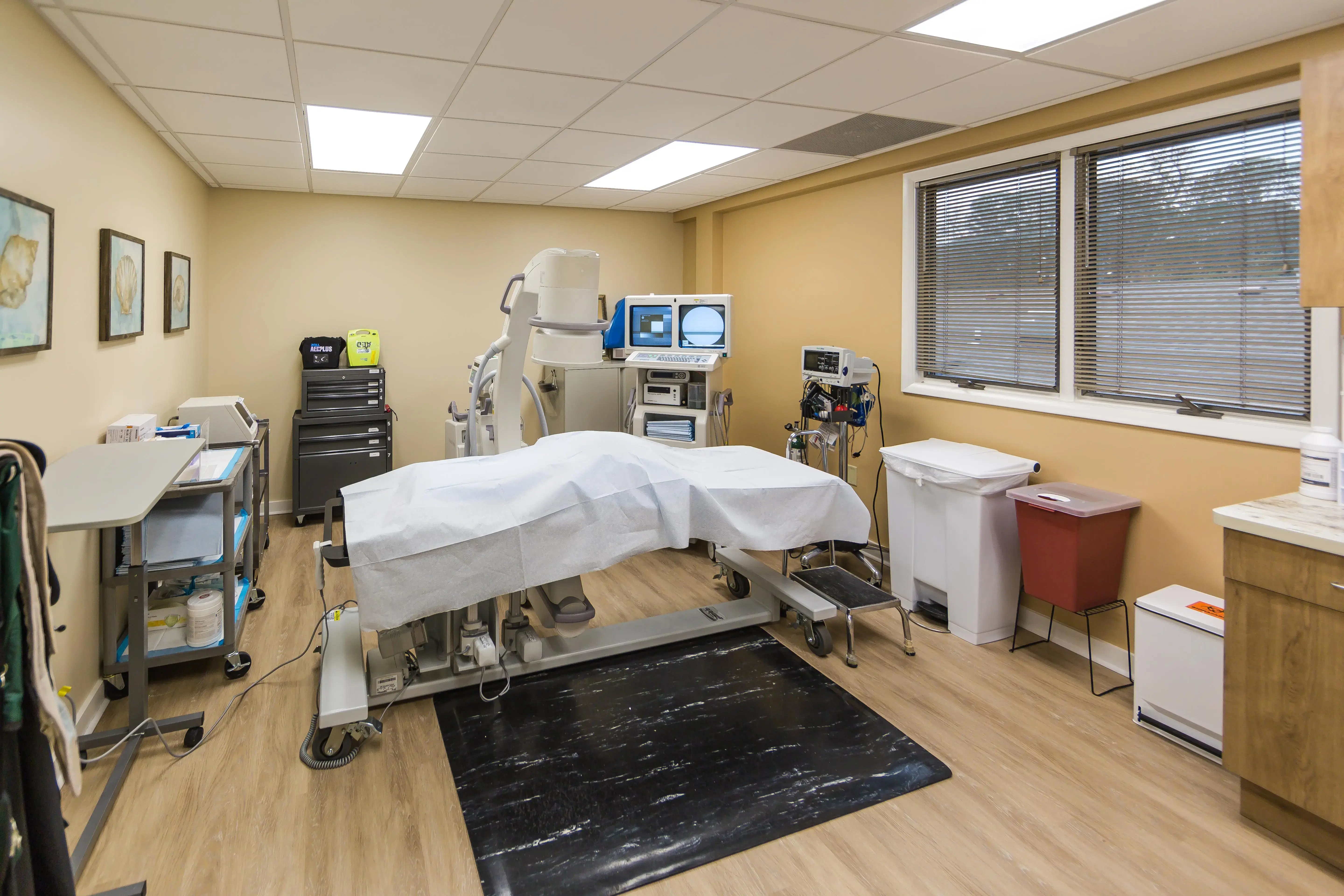 Lisa Barr MD photo 2