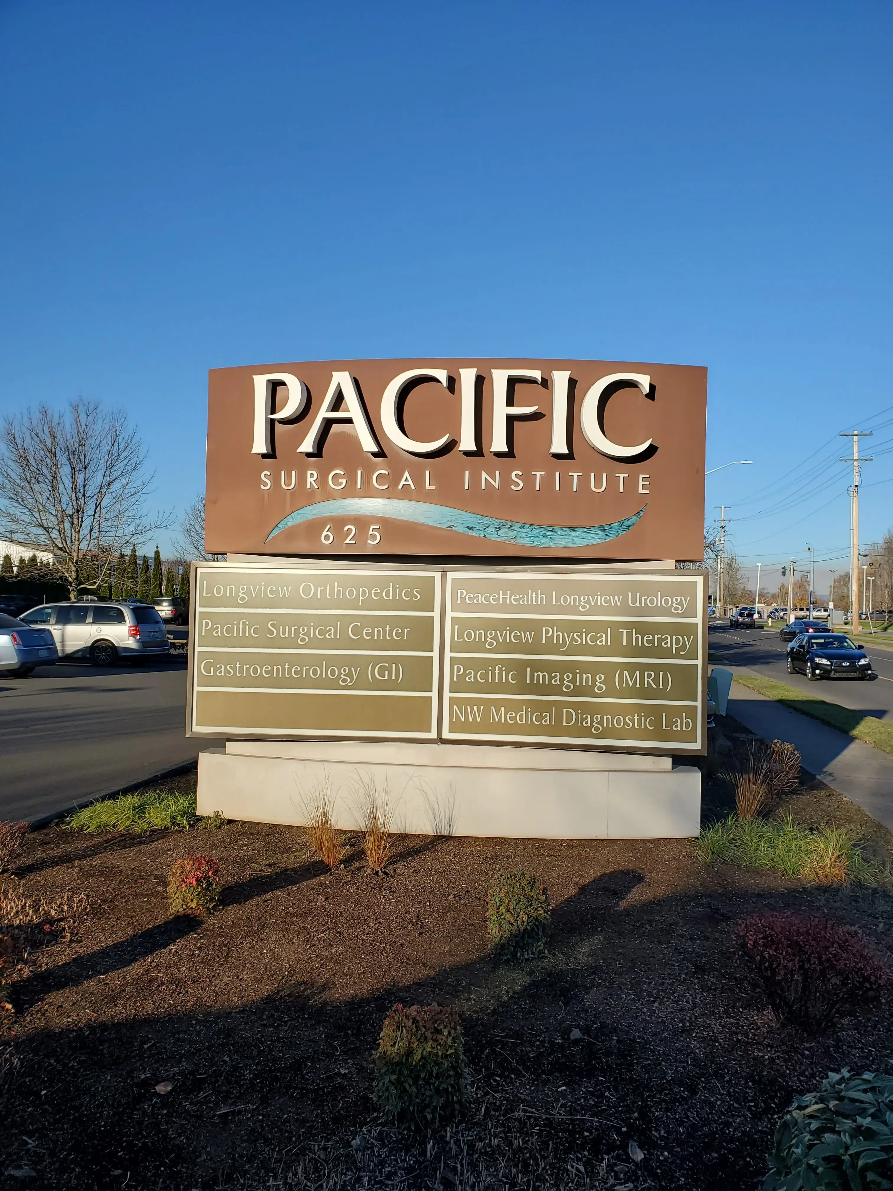 Longview Orthopedic Associates