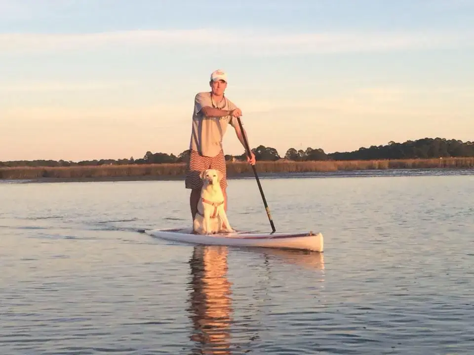 Lowcountry Spine & Sport LLC photo 5