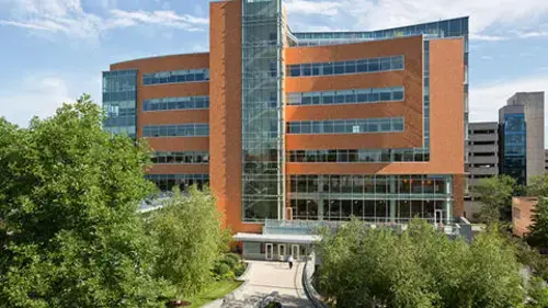 Mayo Clinic Orthopedics and Sports Medicine