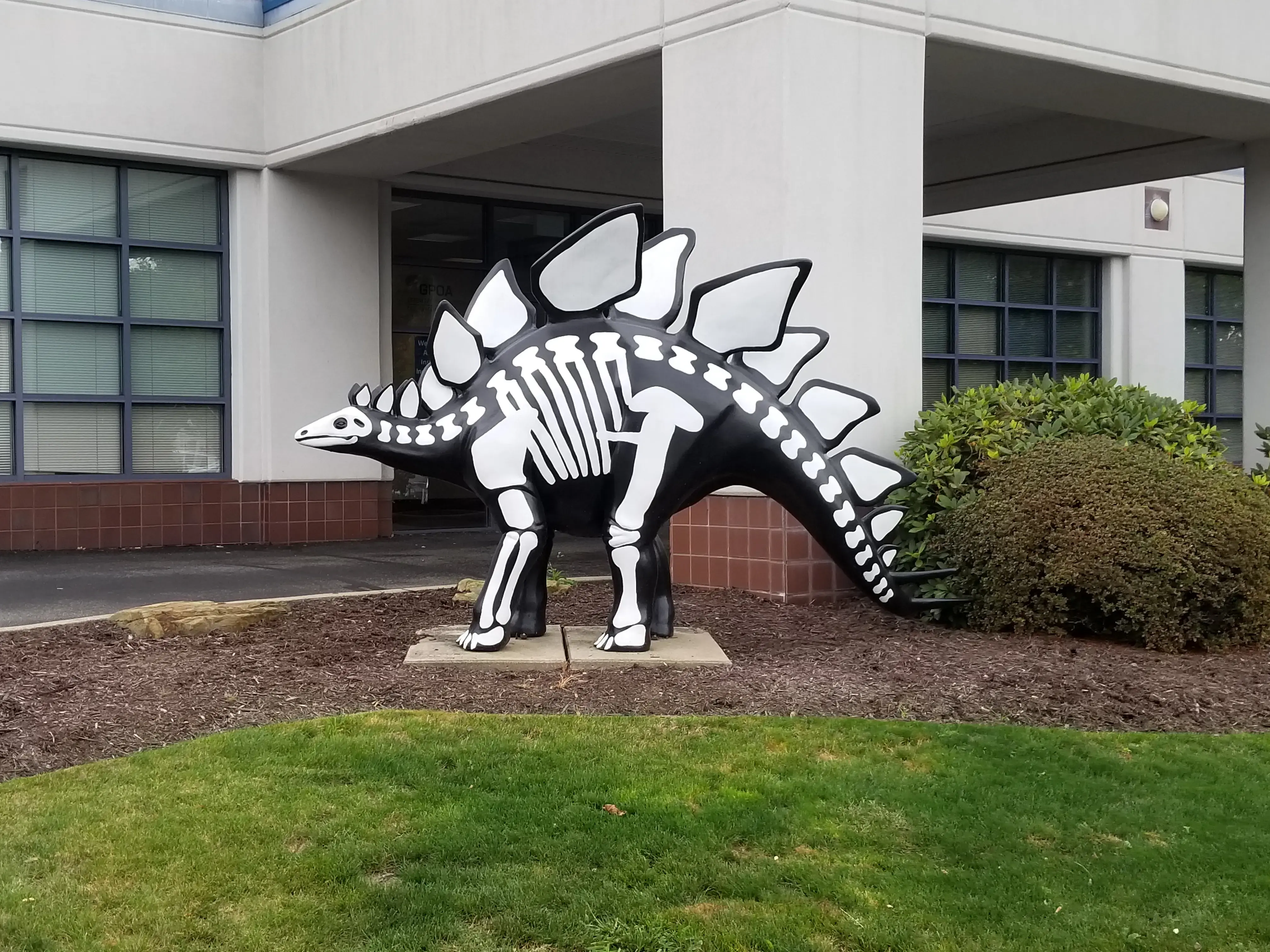 Michael Rytel, MD (GPOA) photo 2