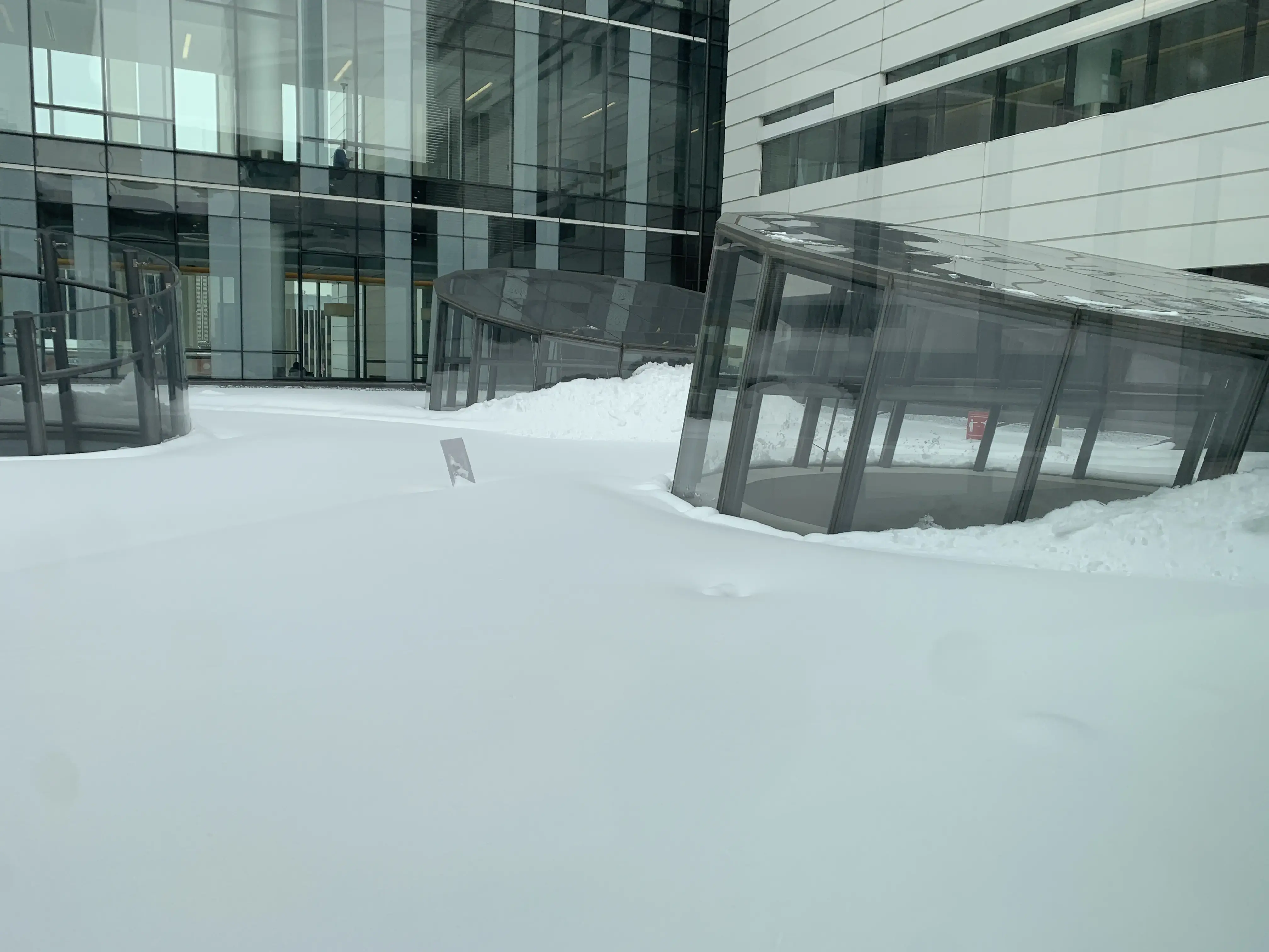 Midwest Orthopaedics at Rush photo 2